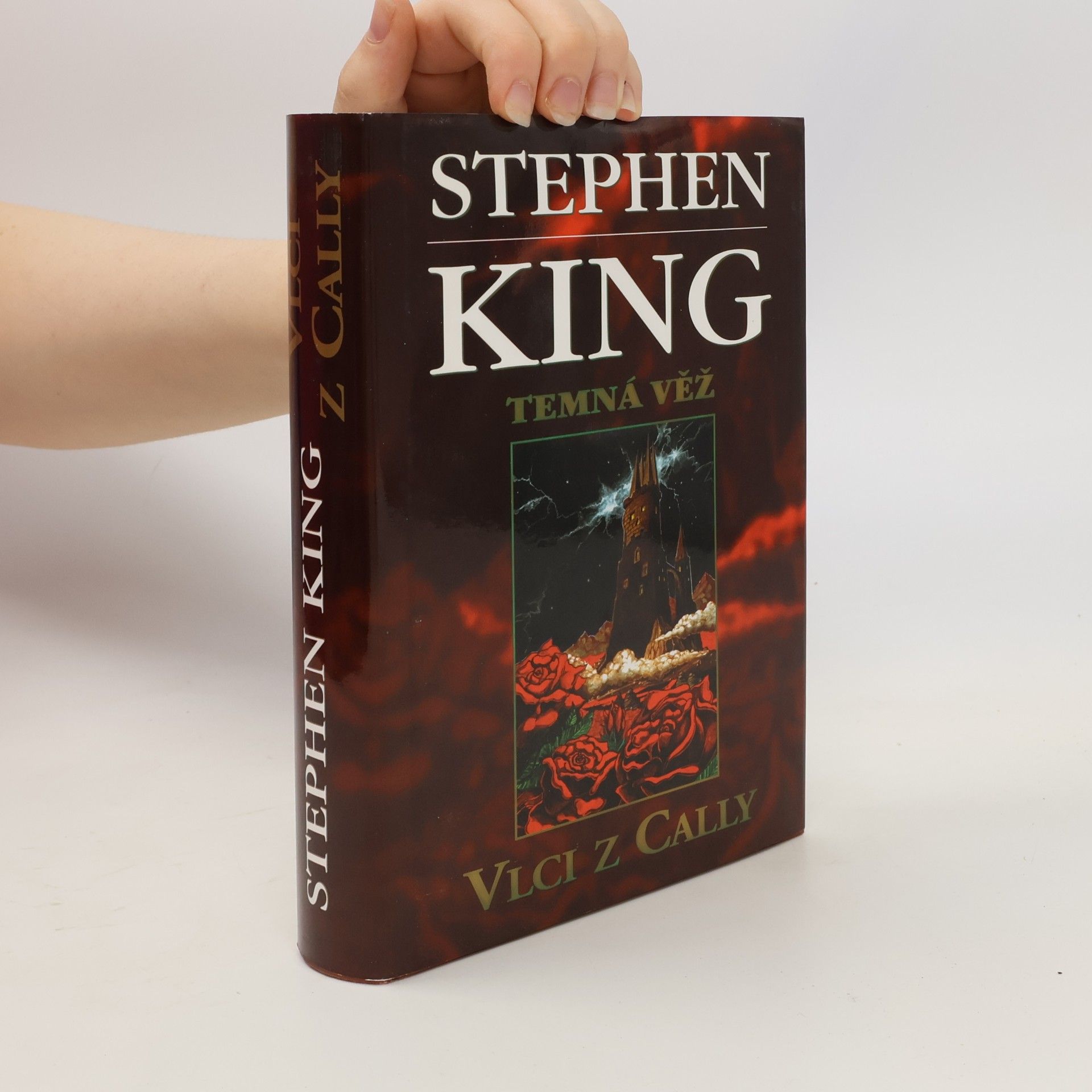 Stephen King Temná věž: Vlci z Cally