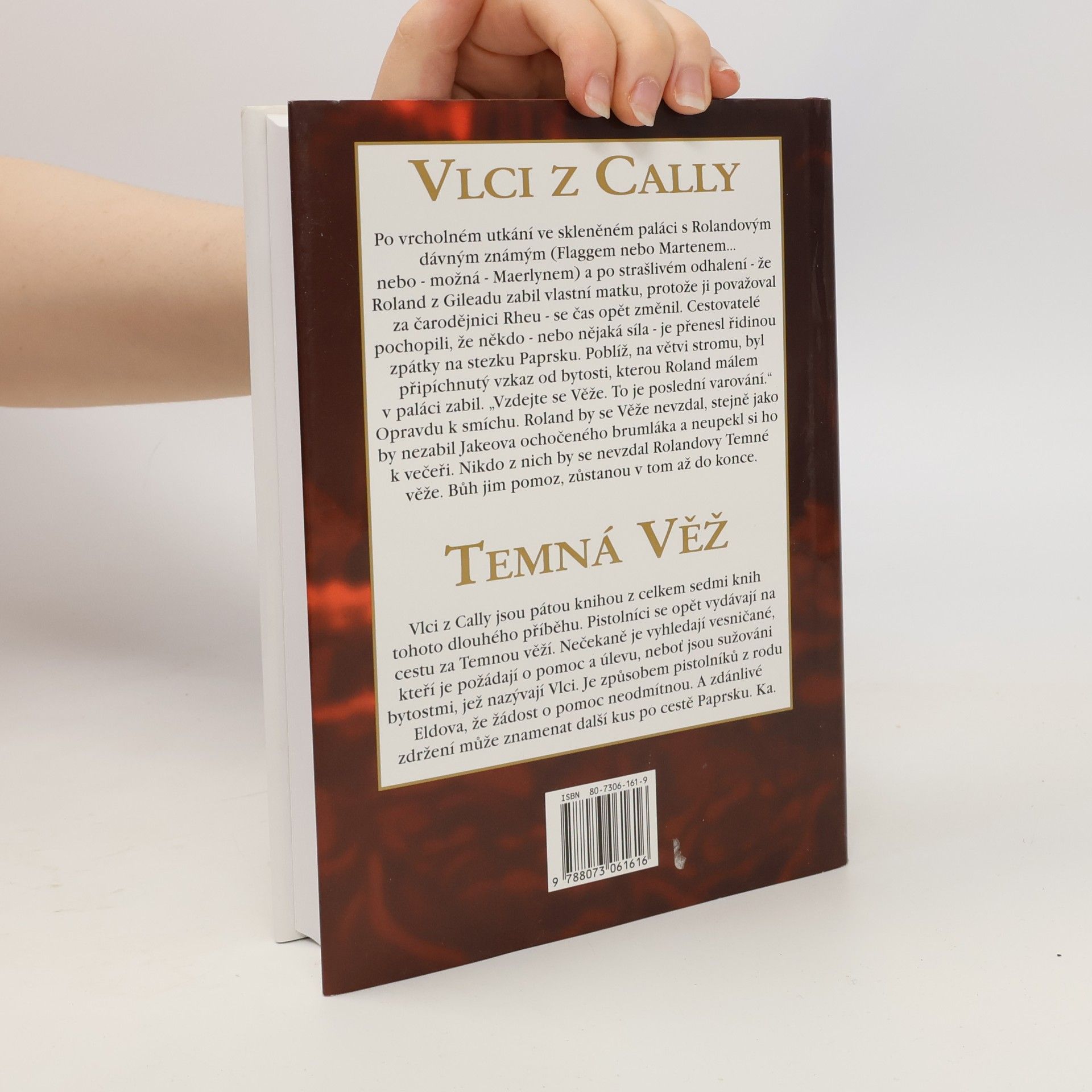 Stephen King Temná věž: Vlci z Cally