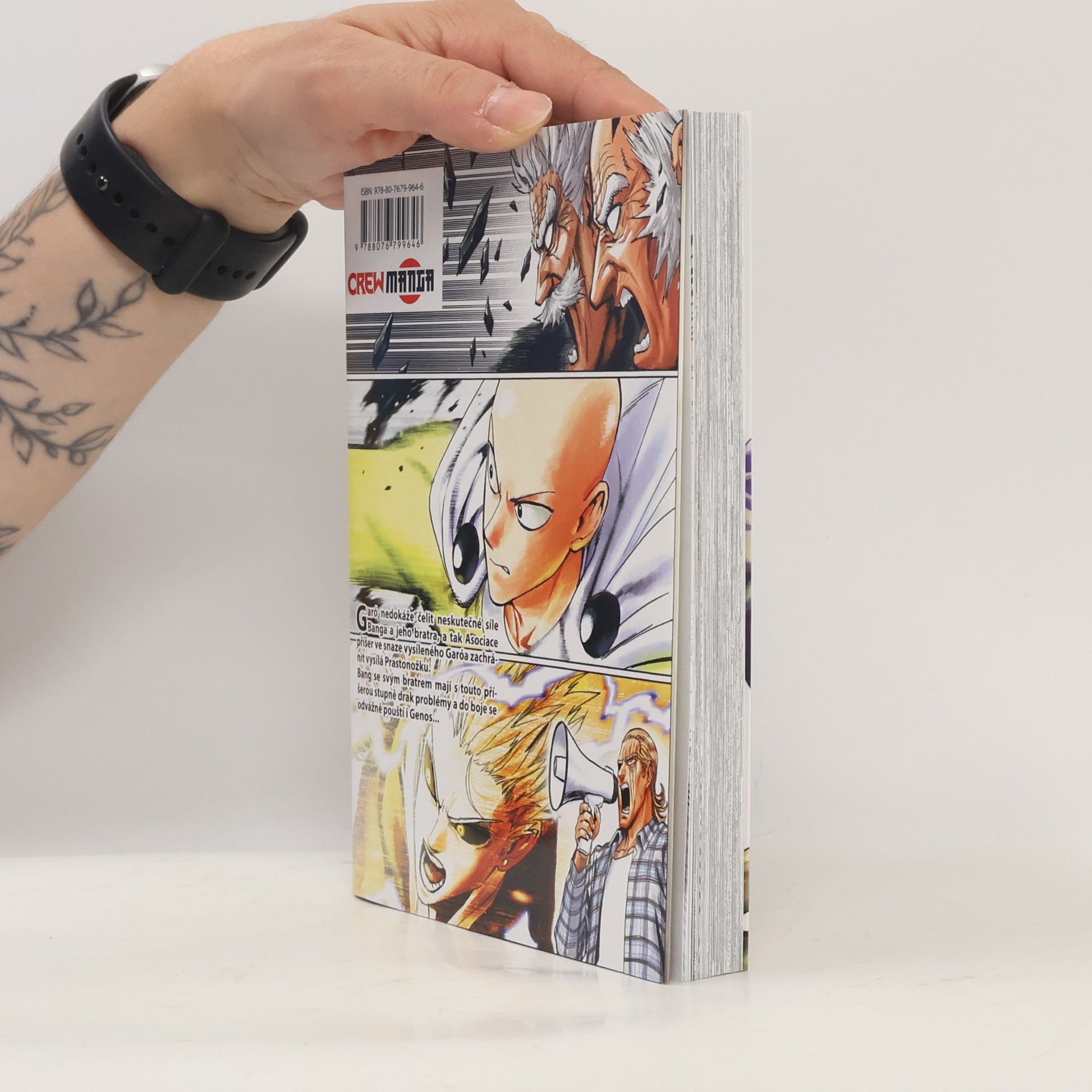 Shingo Natsume To proto, že jsem Plešoplášť?