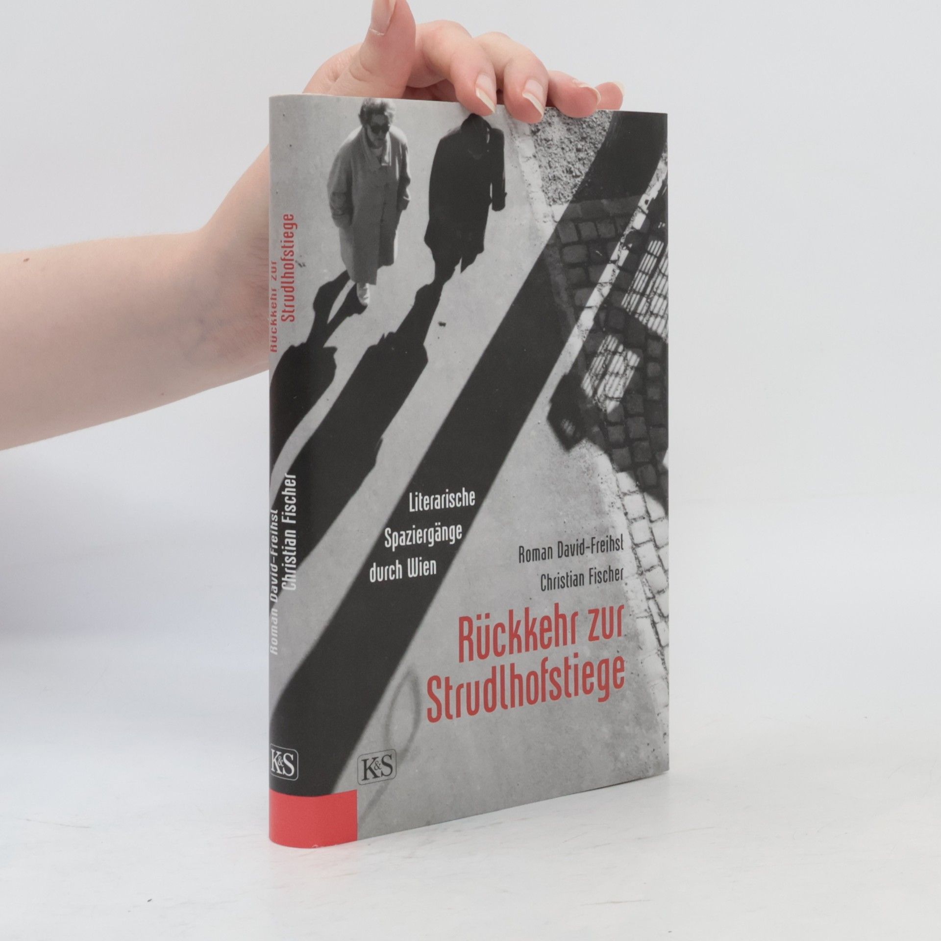 Roman David Rückkehr zur Strudlhofstiege