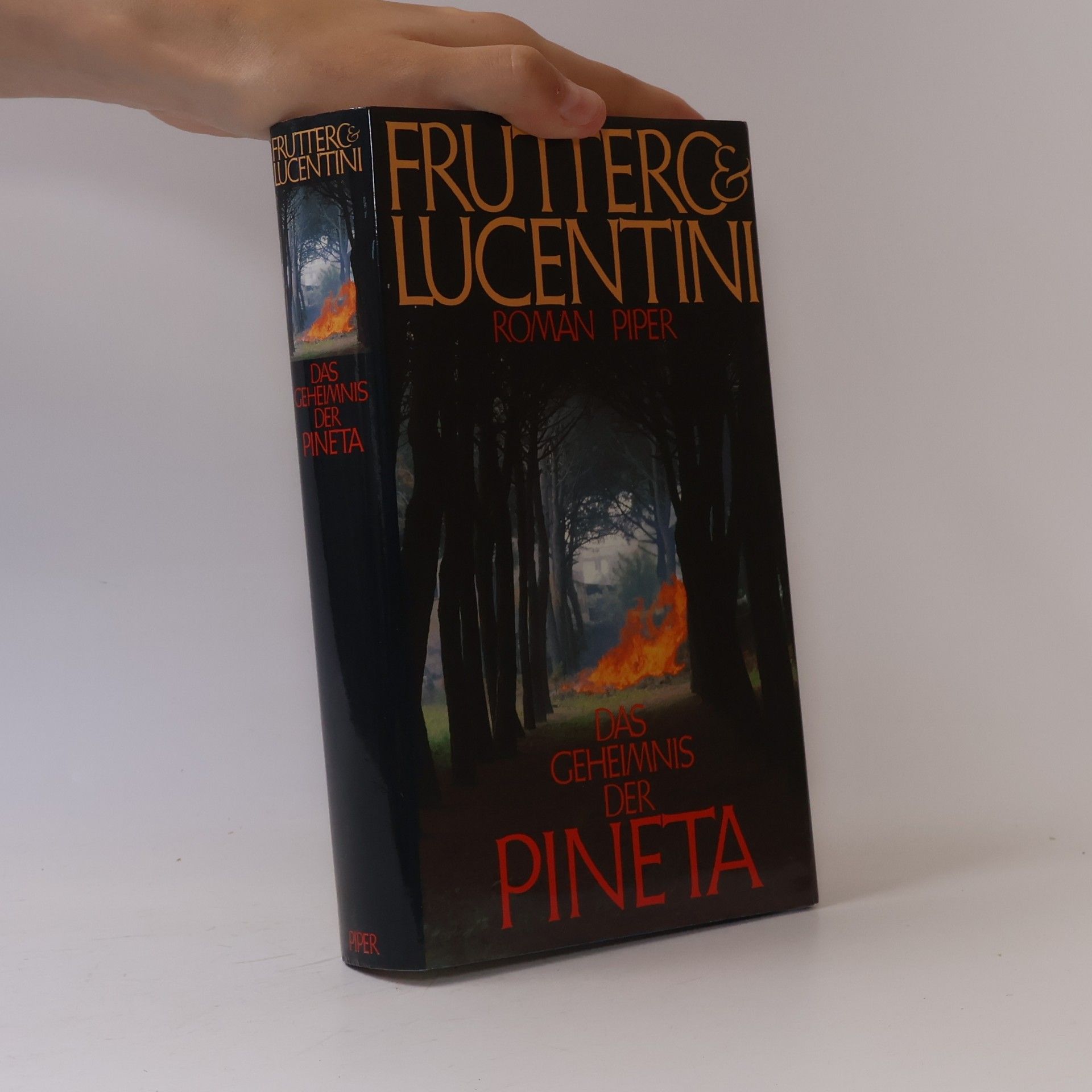 Carlo Fruttero Das Geheimnis der Pineta