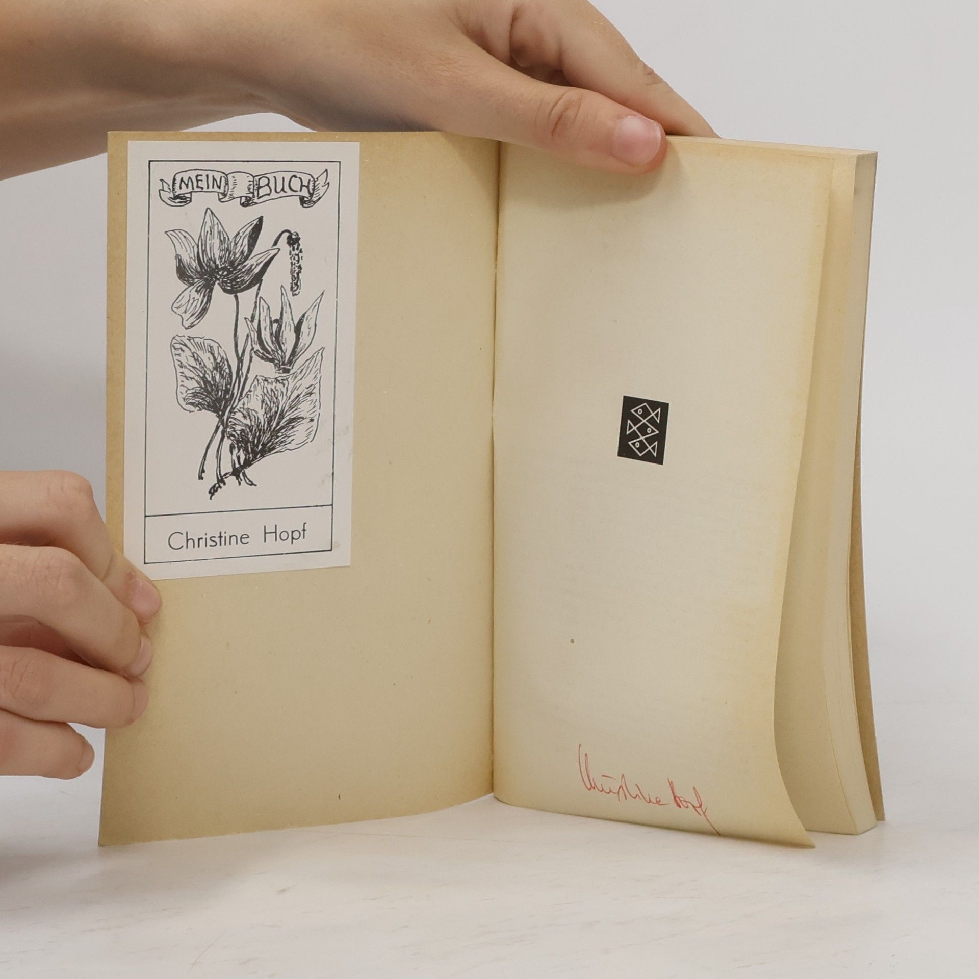 Evelyn Waugh Gilbert Pinfolds Höllenfahrt