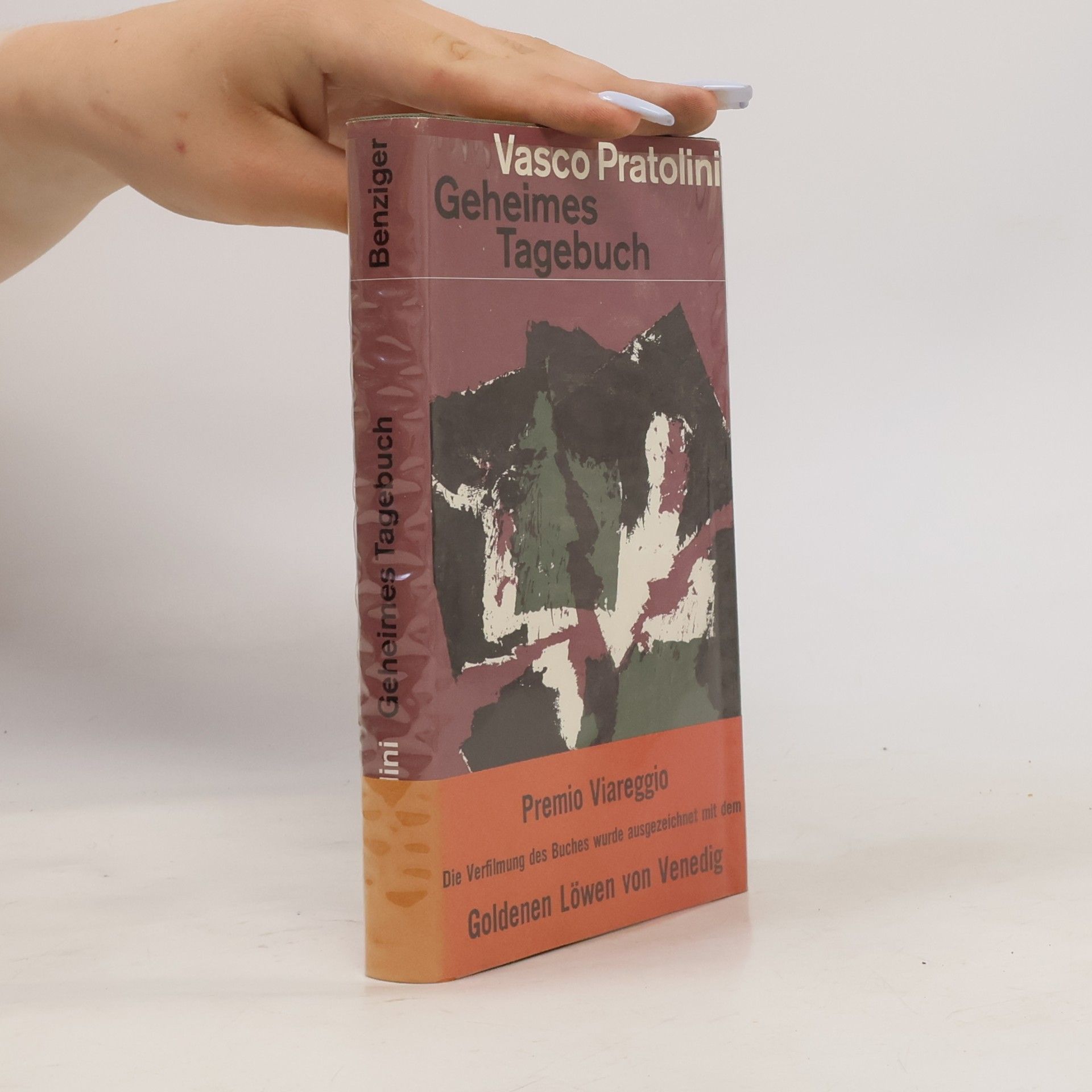 Vasco Pratolini Geheimes Tagebuch