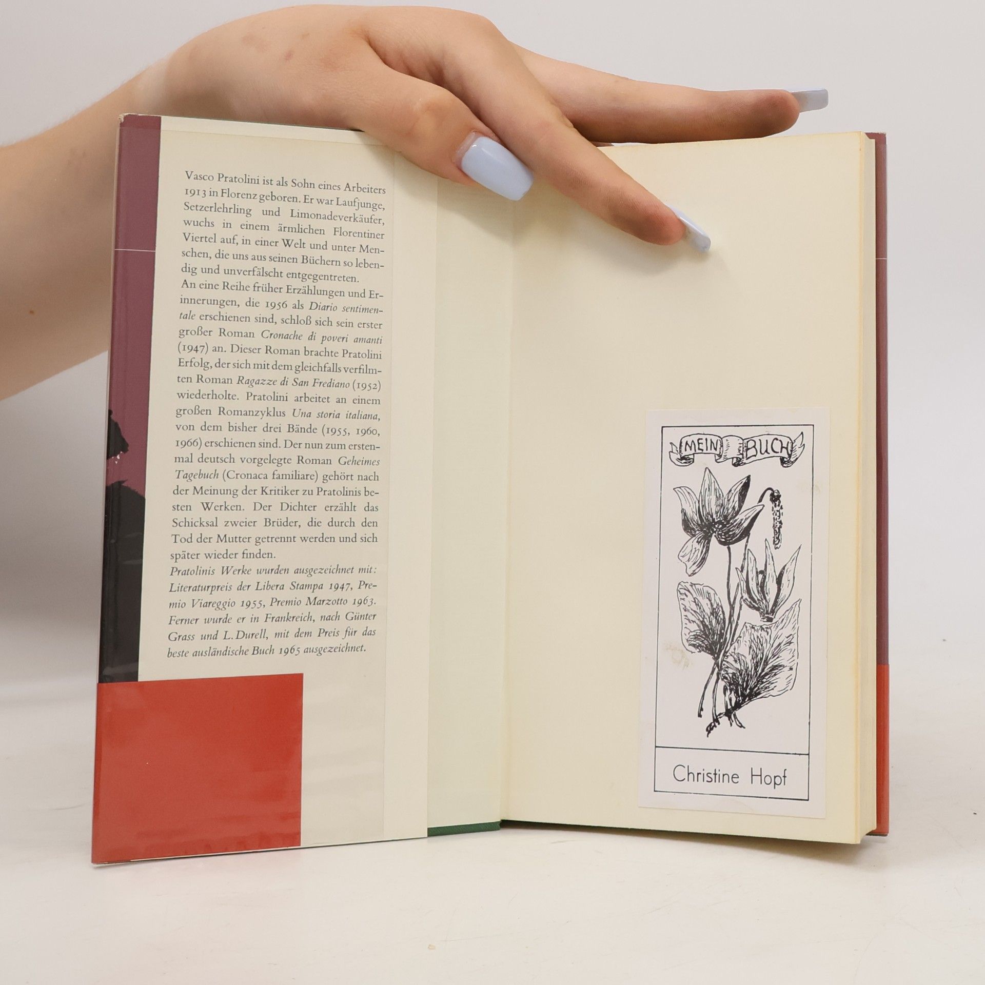 Vasco Pratolini Geheimes Tagebuch
