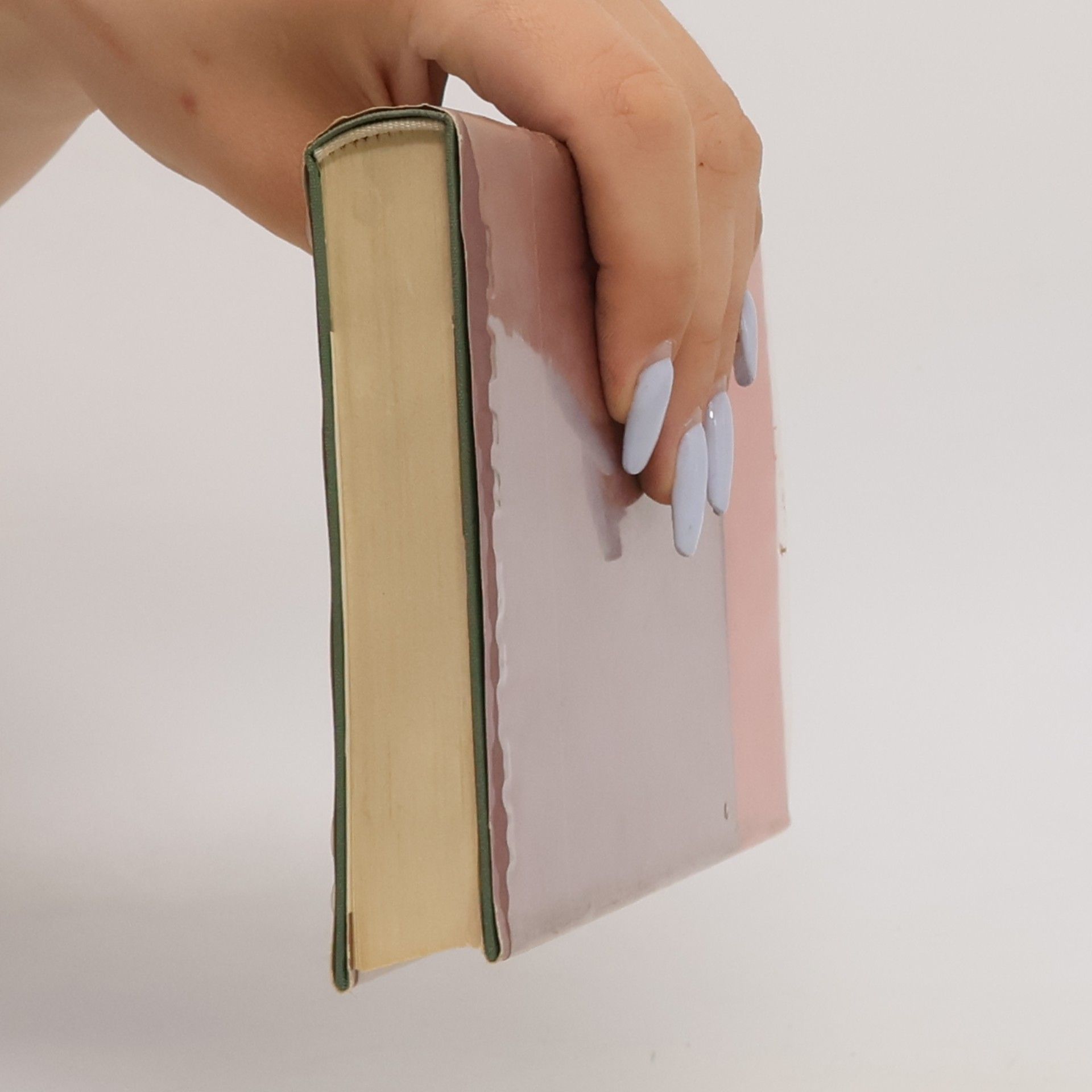 Vasco Pratolini Geheimes Tagebuch