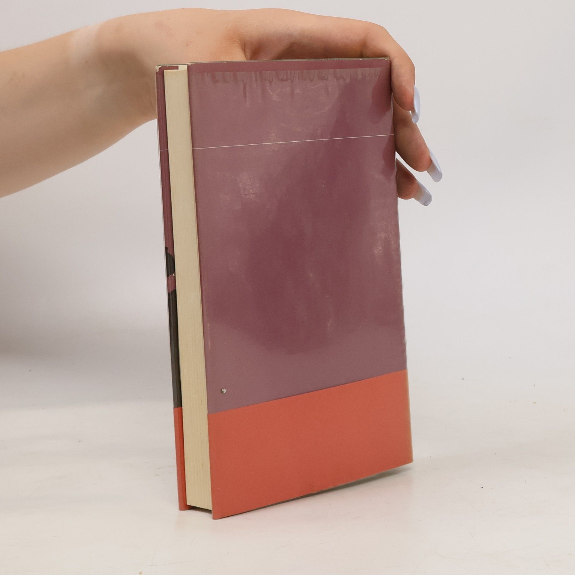 Vasco Pratolini Geheimes Tagebuch