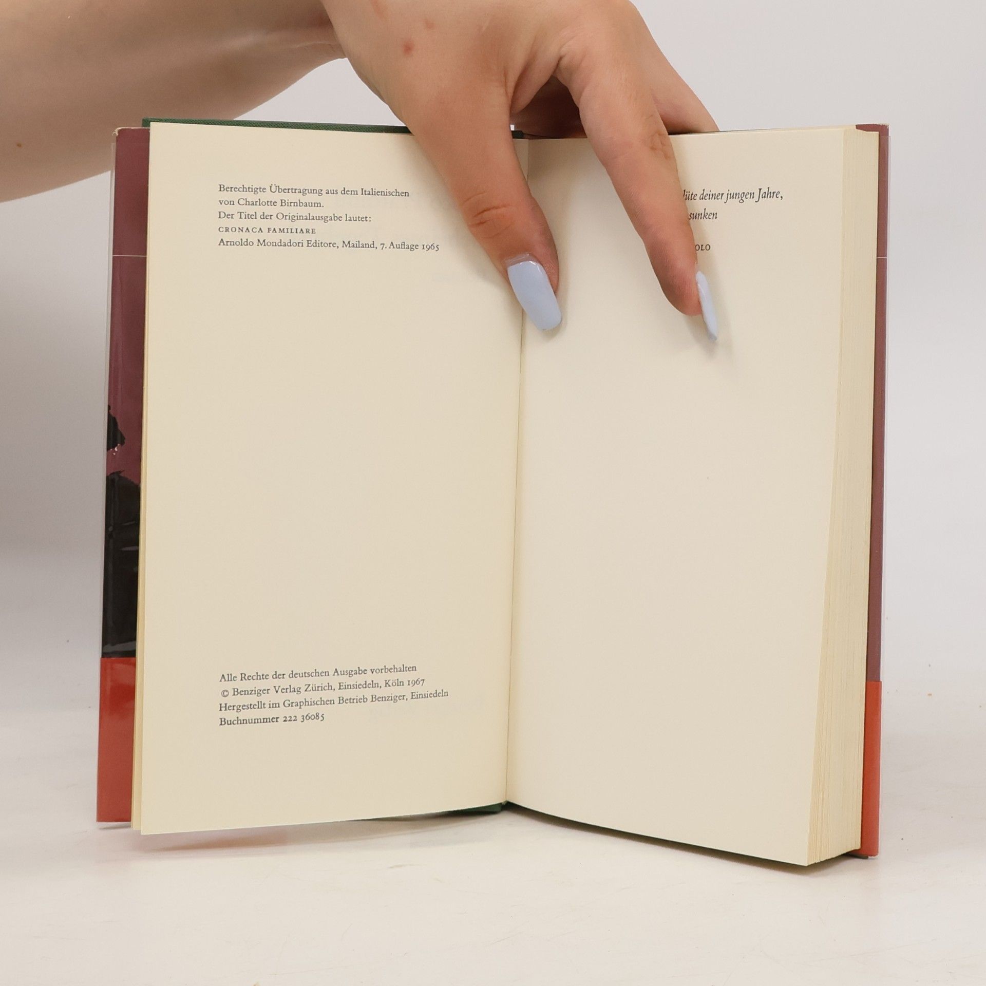 Vasco Pratolini Geheimes Tagebuch
