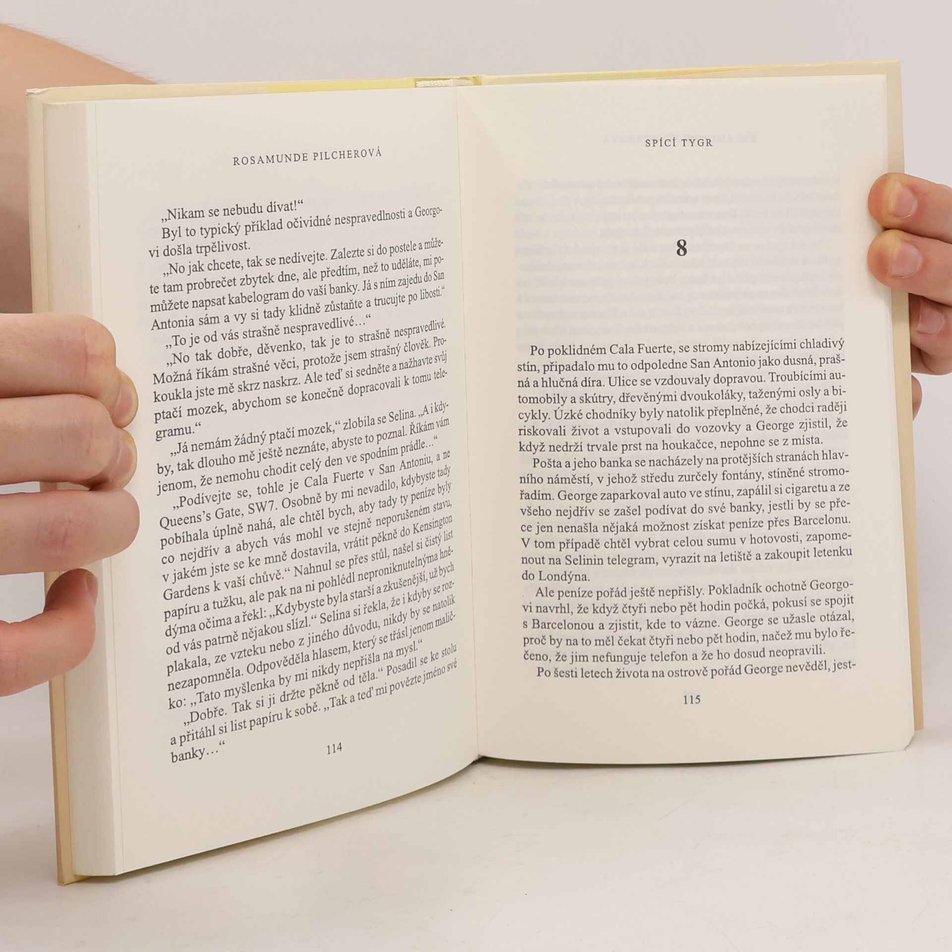 Rosamunde Pilcher Spící tygr