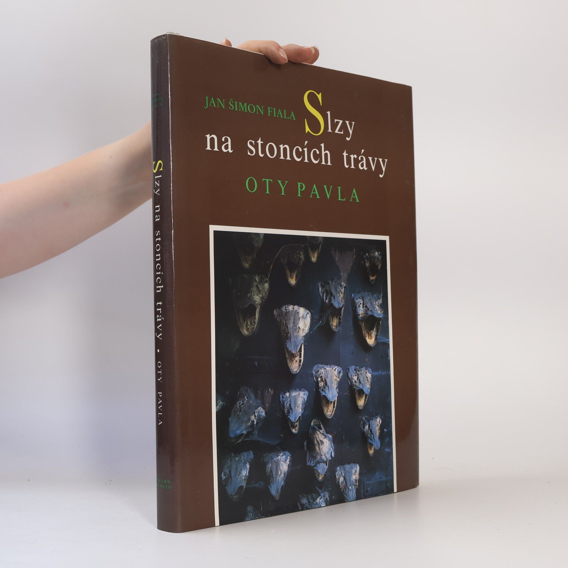 Jan Polešovský Slzy na stoncích trávy Oty Pavla
