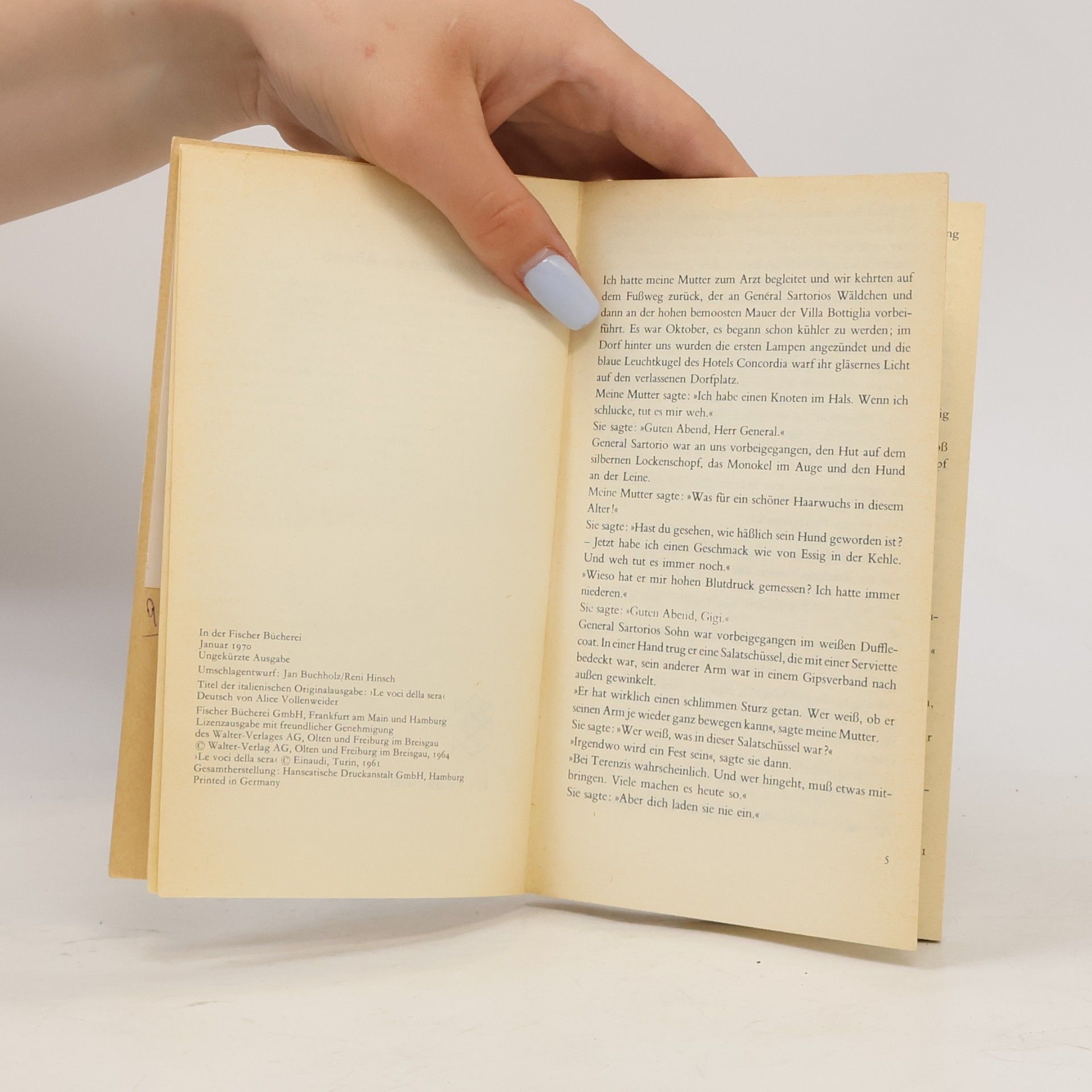 Natalia Ginzburg Die Stimmen des Abends