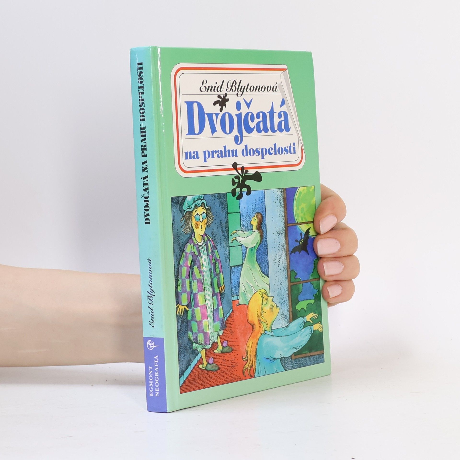 Enid Blyton Dvojčatá na prahu dospelosti