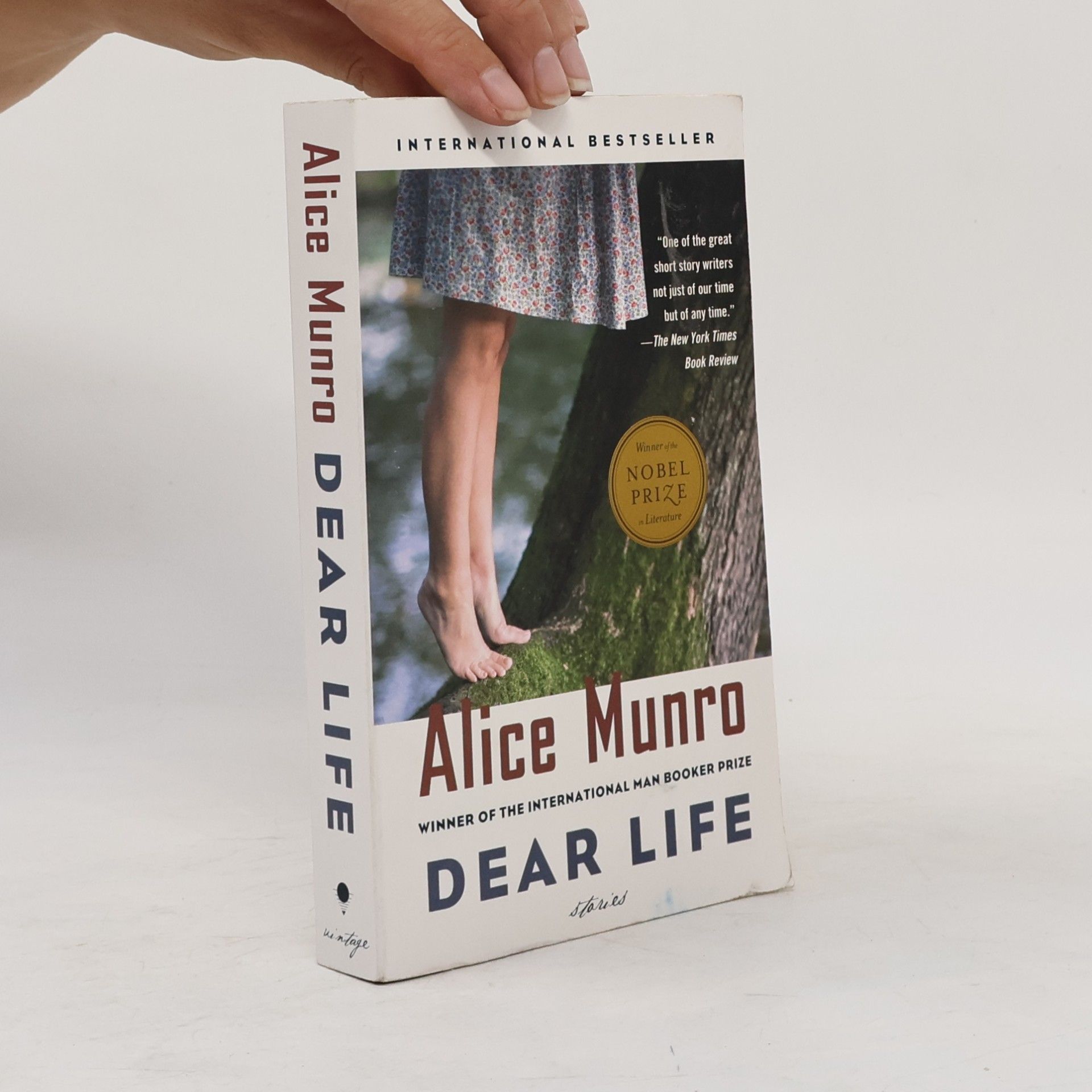 Alice Munro Dear Life