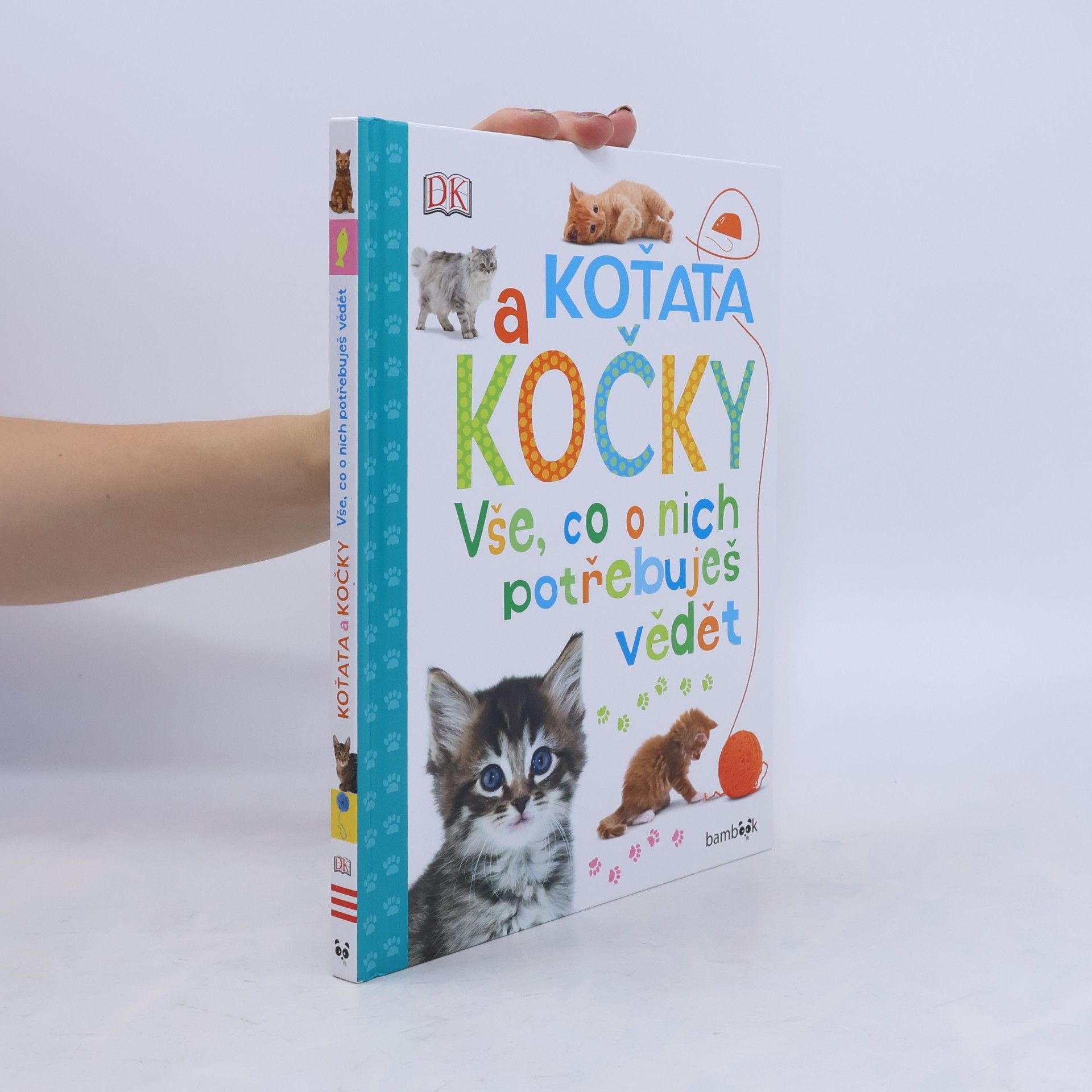 Andrea Mills Koťata a kočky – Vše, co o nich potřebuješ vědět