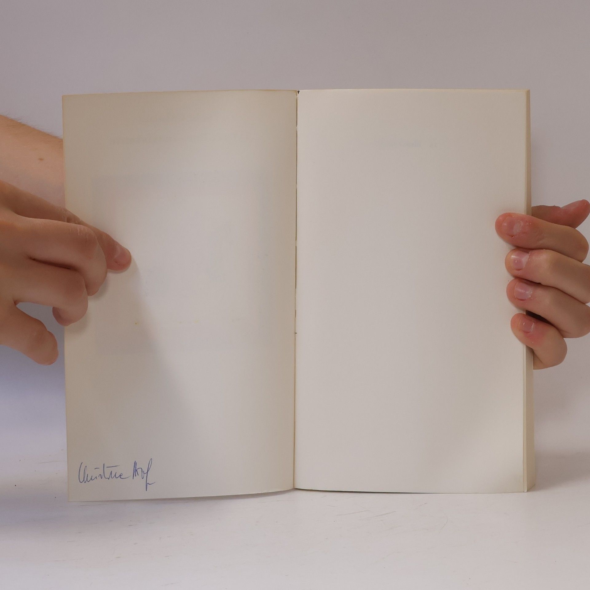 Italo Calvino Il cavaliere inesistente