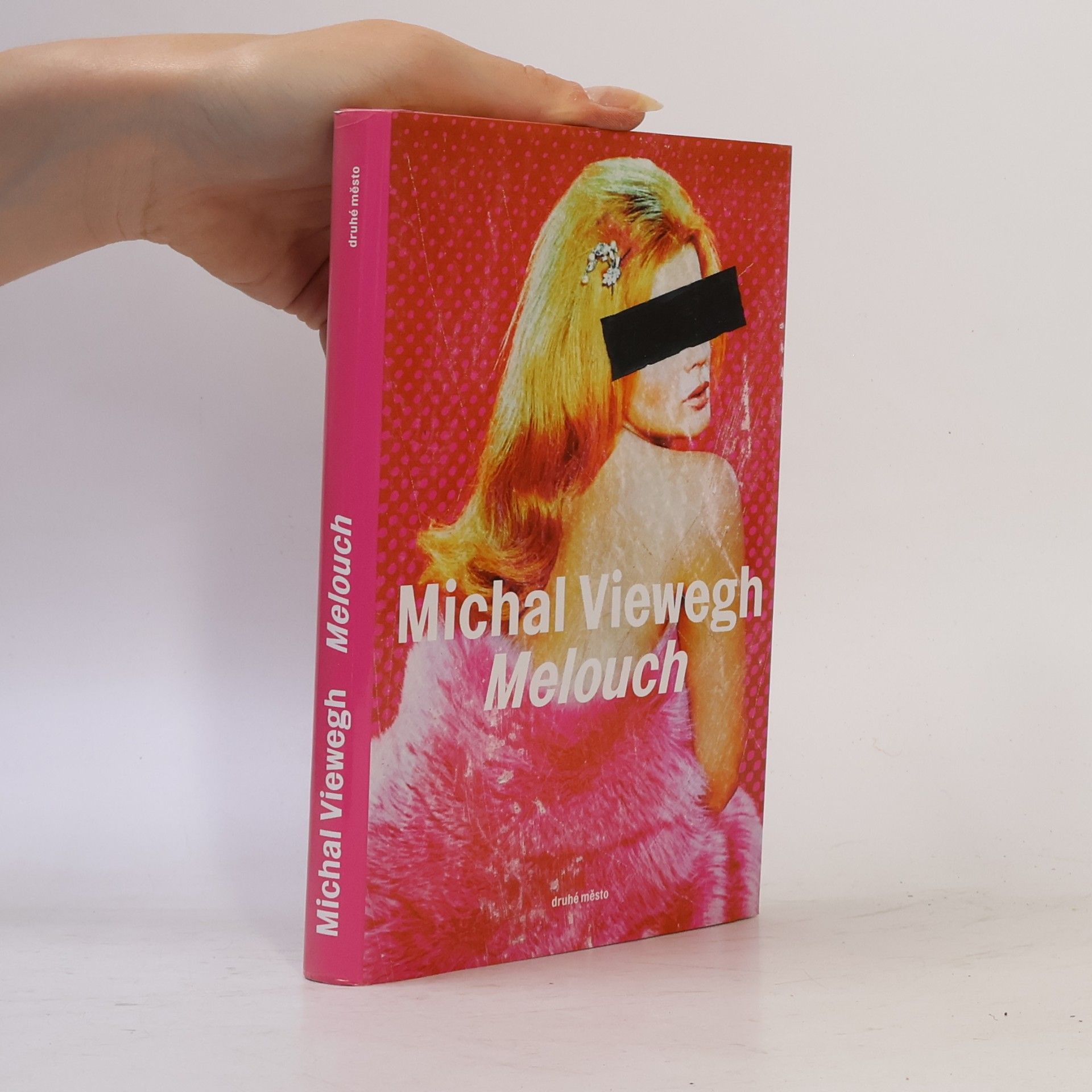 Michal Viewegh Melouch