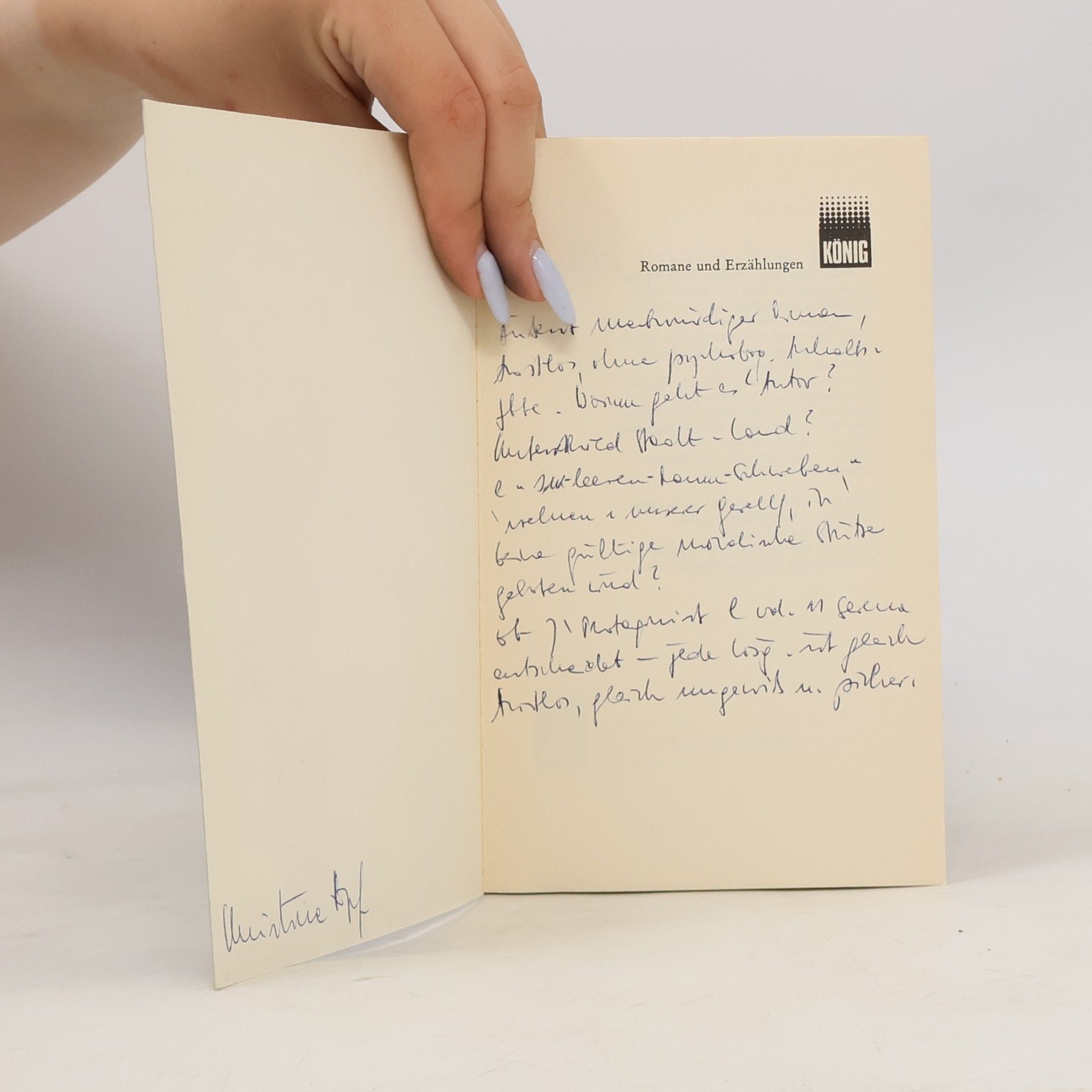 Giovanni Arpino Ein ungleiches Paar