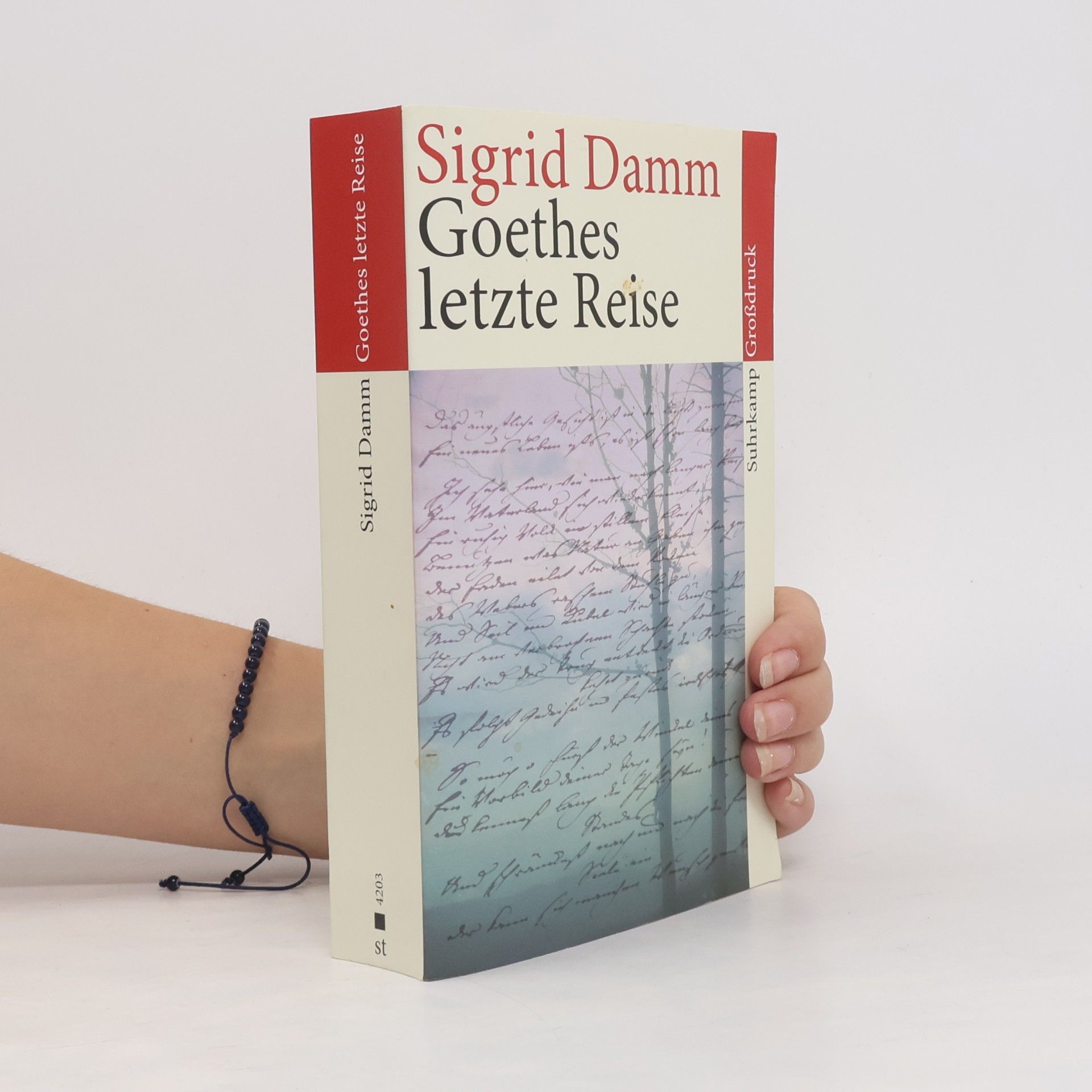Sigrid Damm Goethes letzte Reise