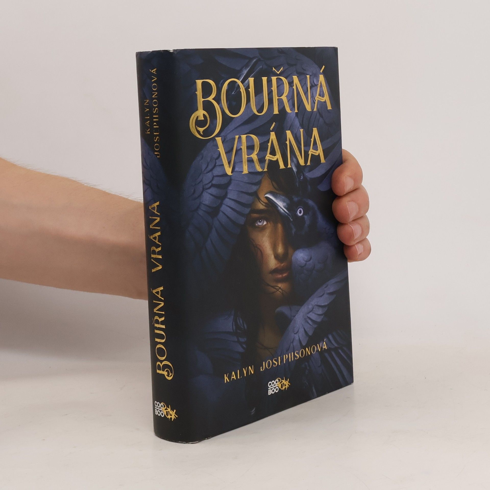 Kalyn Josephson Bouřná vrána