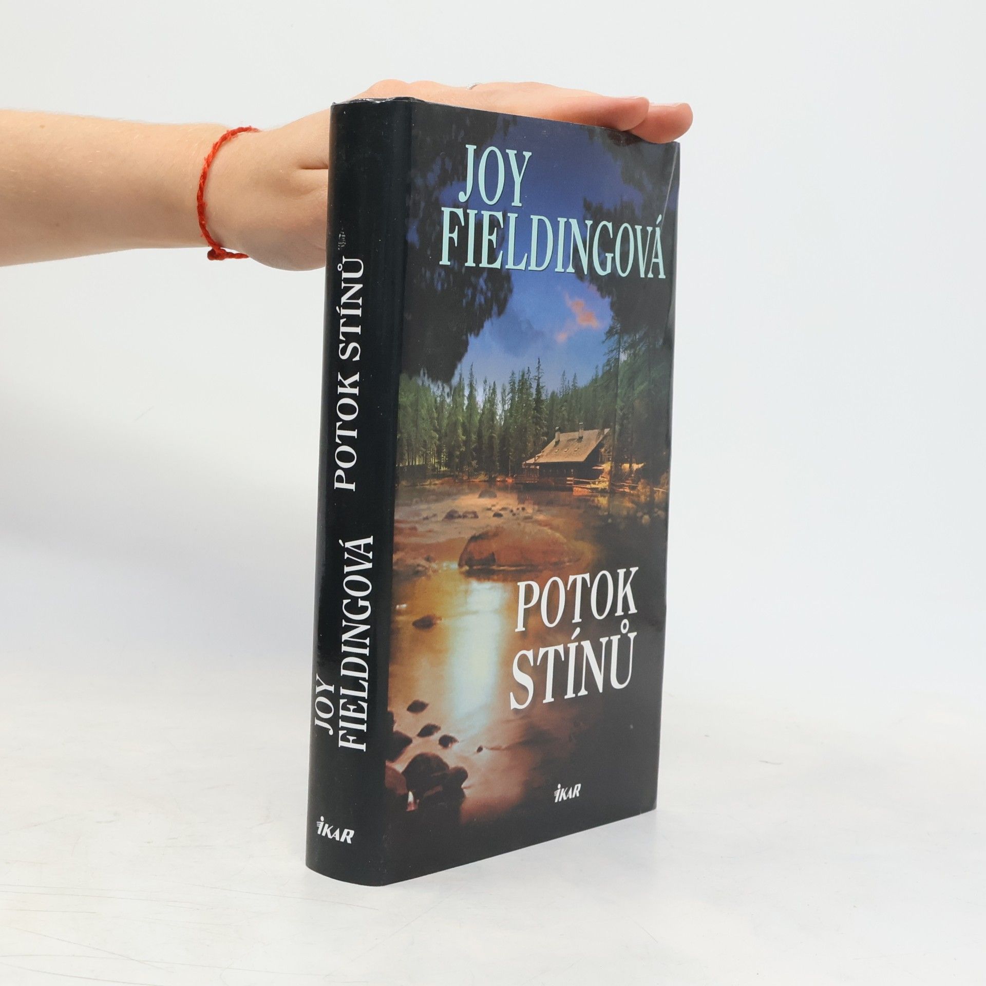Joy Fielding Potok stínů