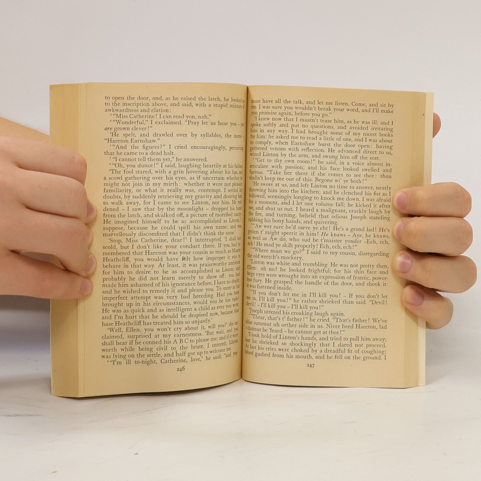 Emily Brontë Classics: Wuthering Heights