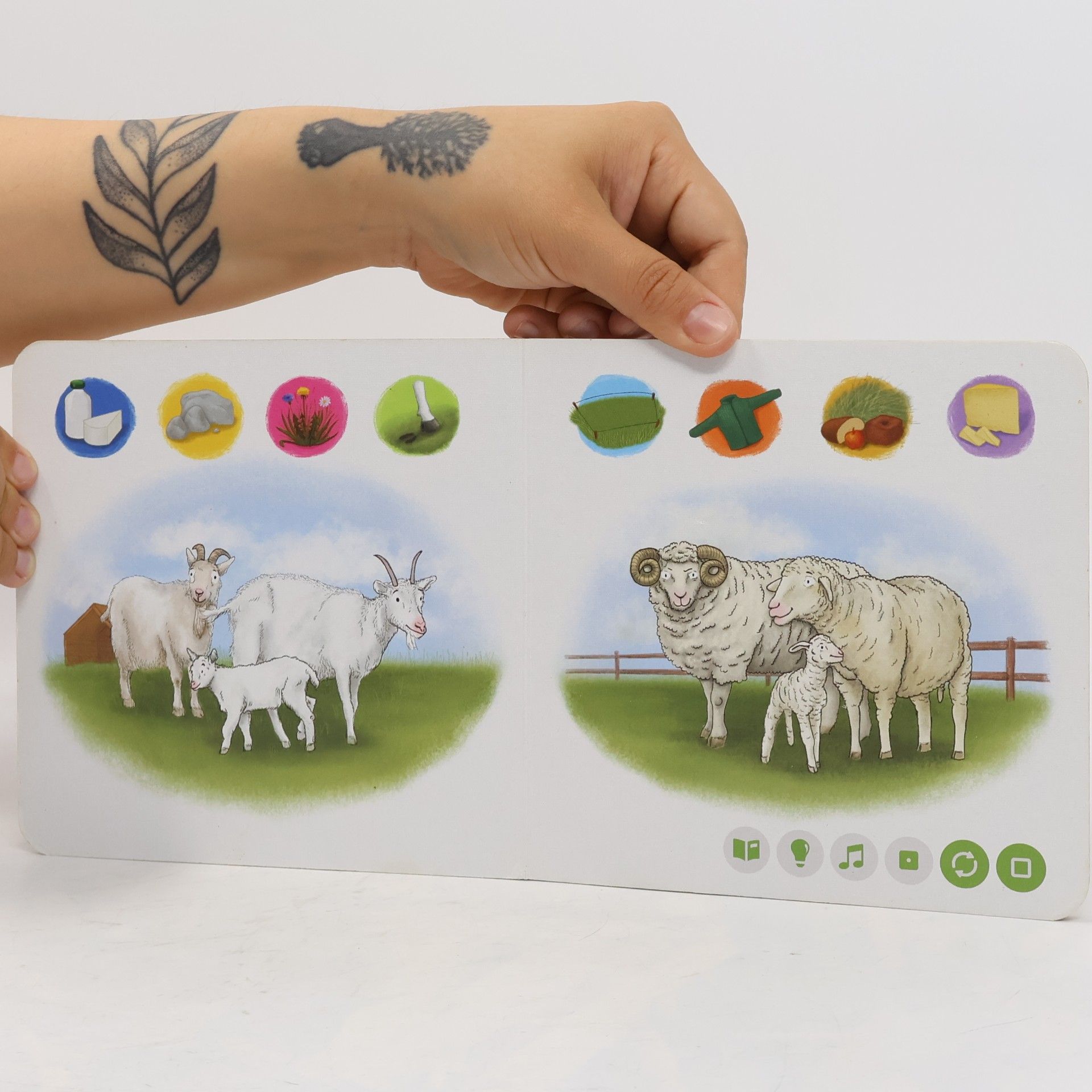 Michaela Pešlová Domácí zvířátka. Interaktivní mluvící kniha