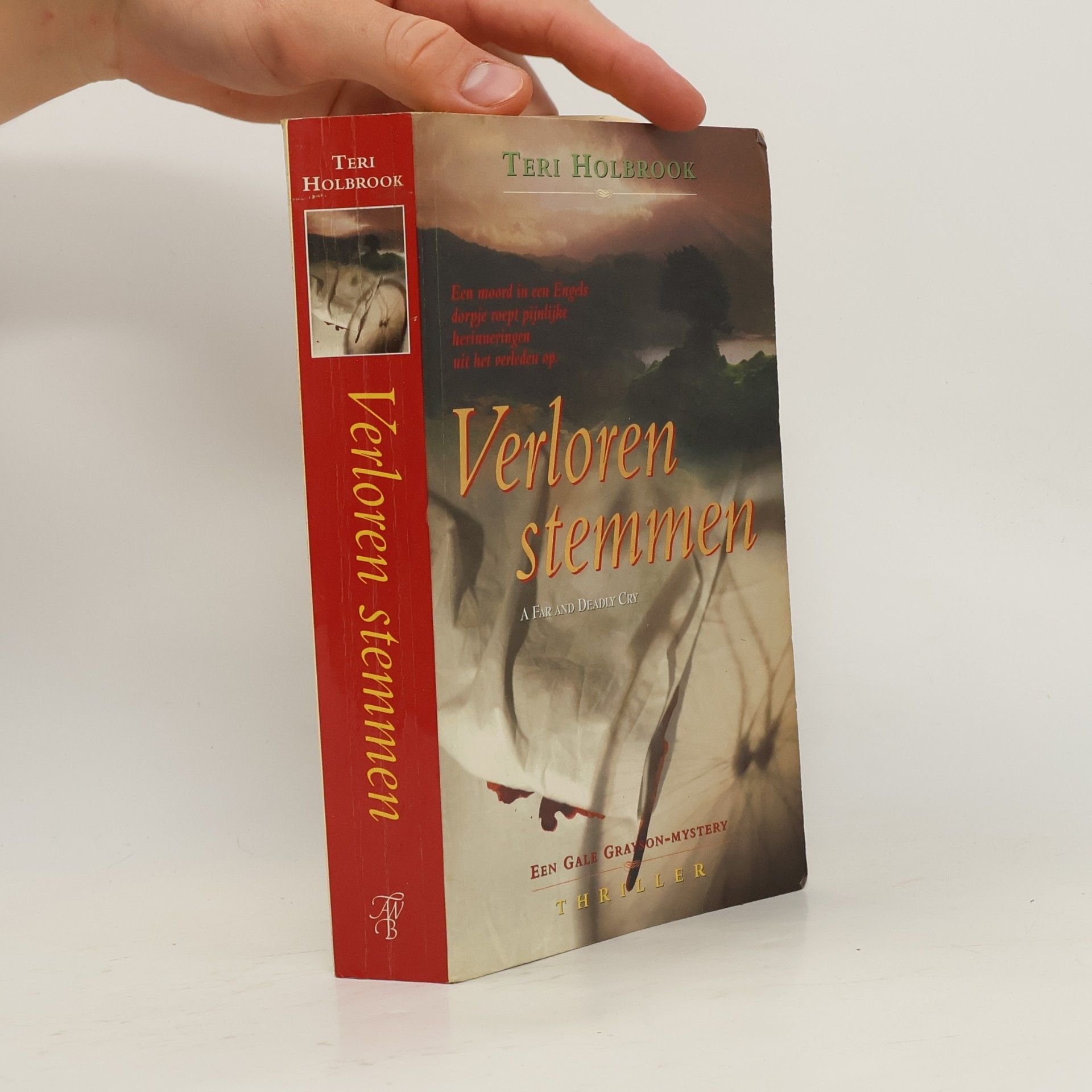 Teri Holbrook Een Gale Grayson-Mystery: Verloren stemmen