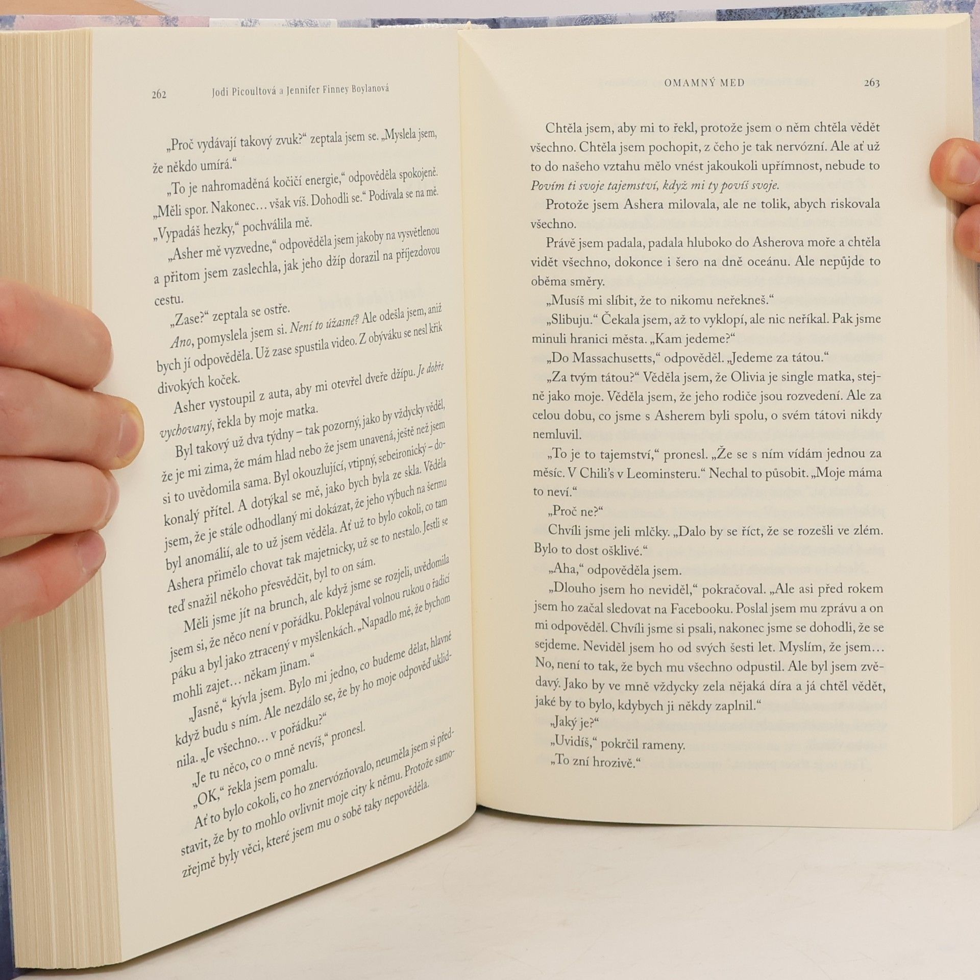Jodi Picoult Omamný med