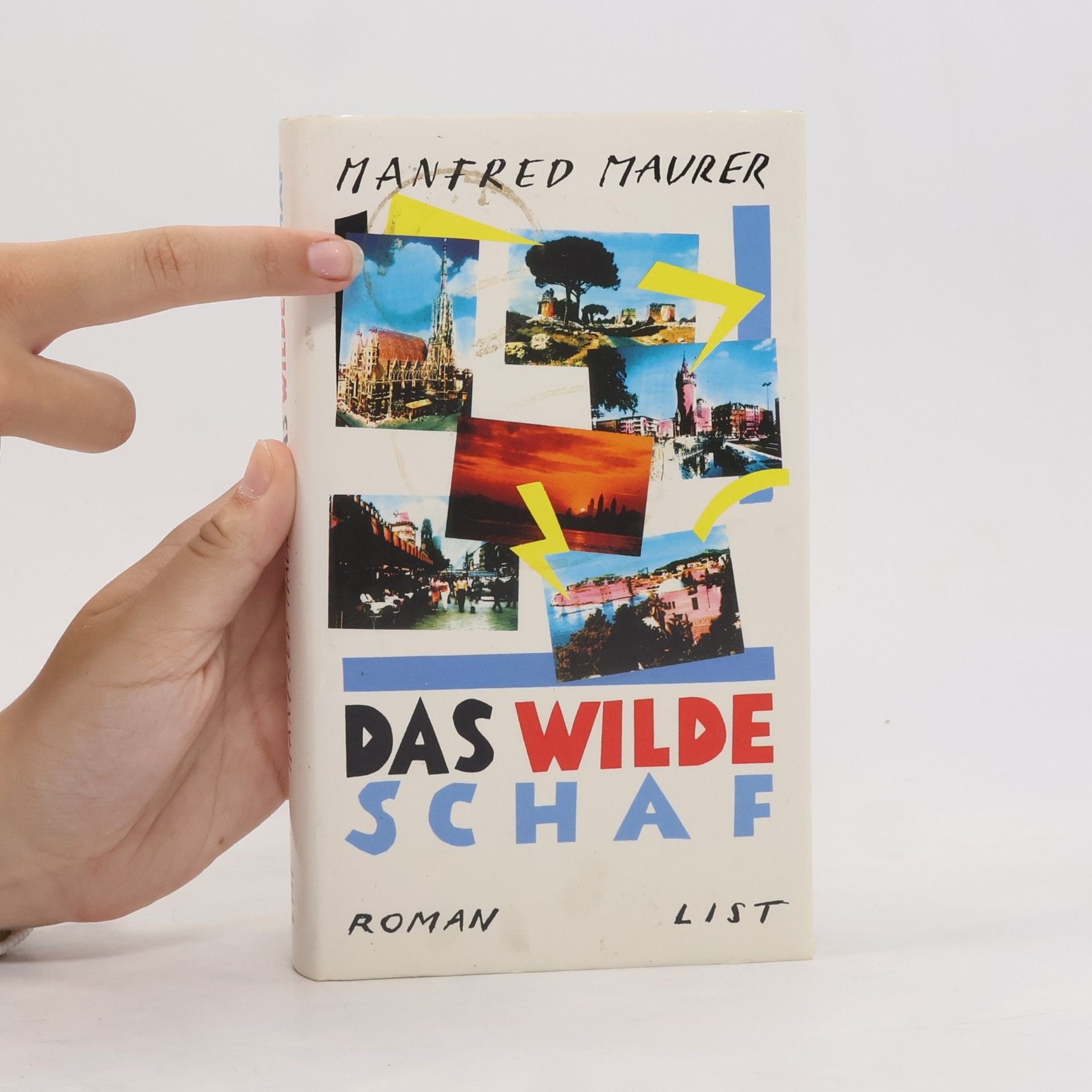 Manfred Maurer Das wilde Schaf
