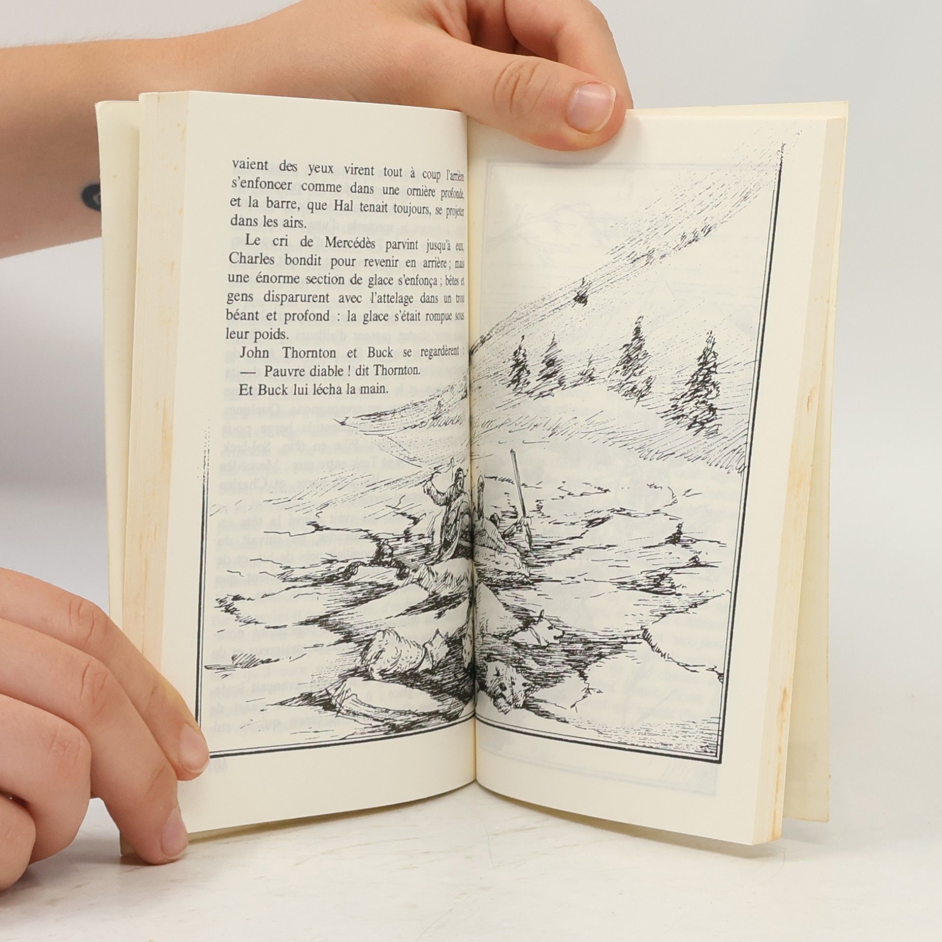 Jack London Folio junior - 8: L'Appel de la Forêt