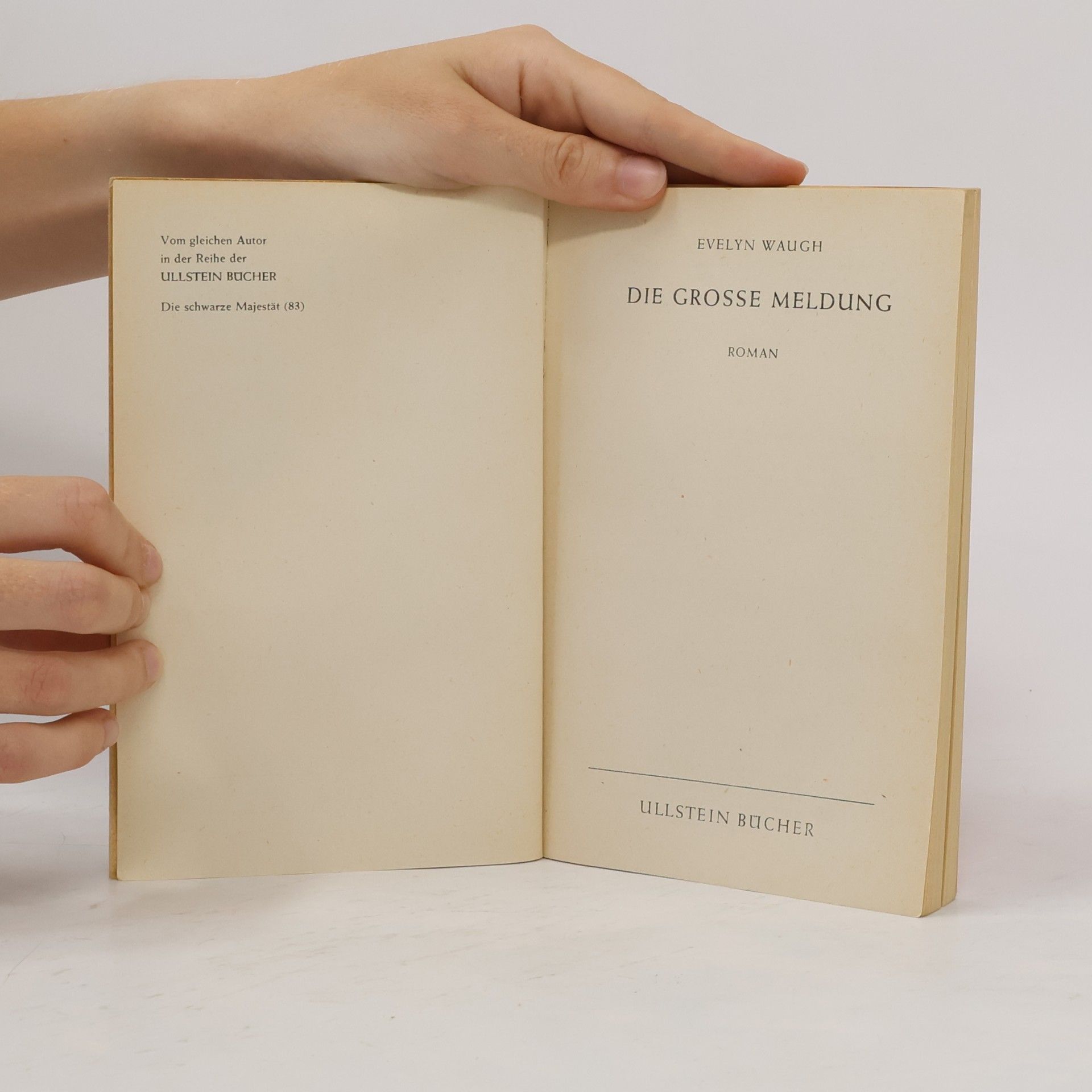 Evelyn Waugh Die große Meldung