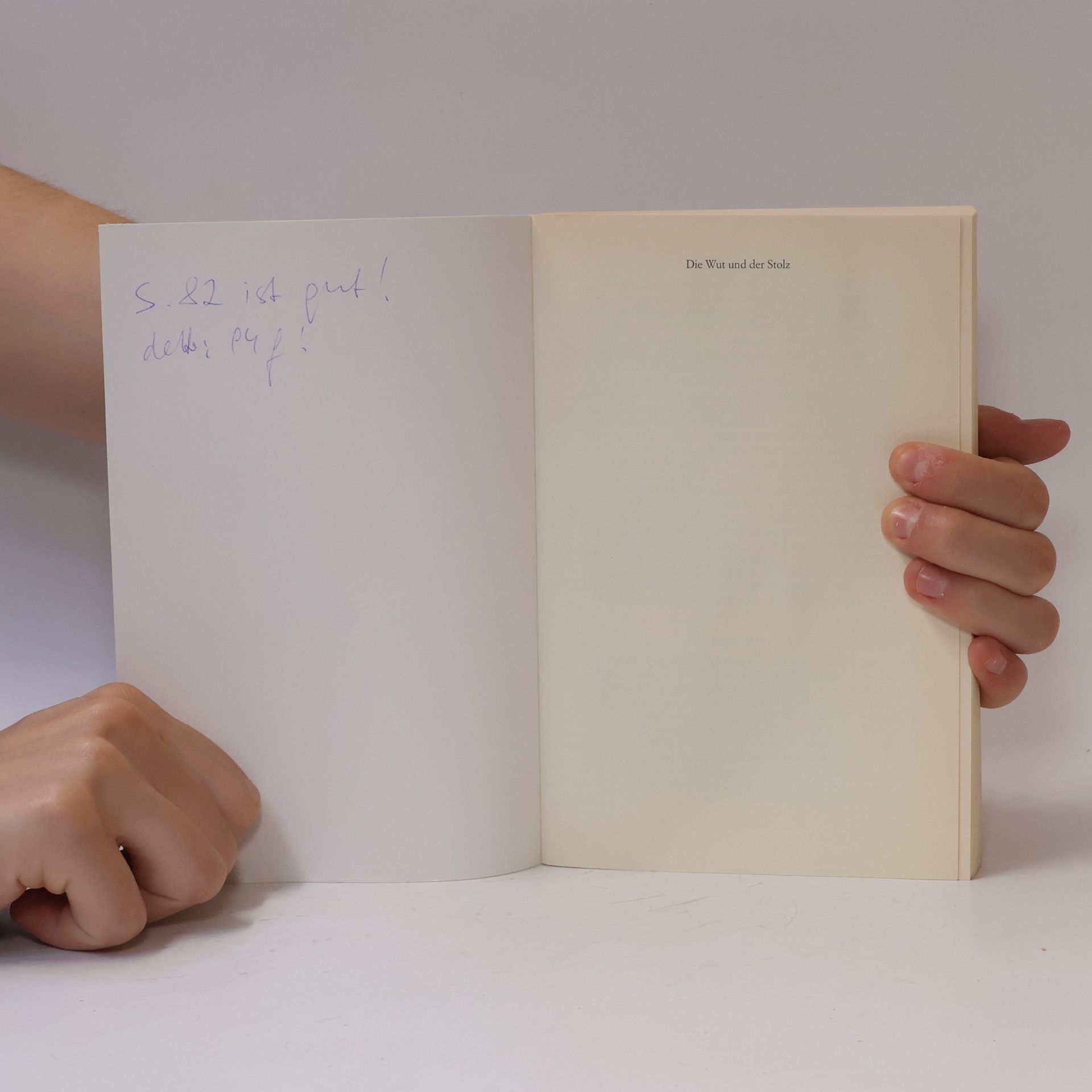 Oriana Fallaci Die Wut und der Stolz