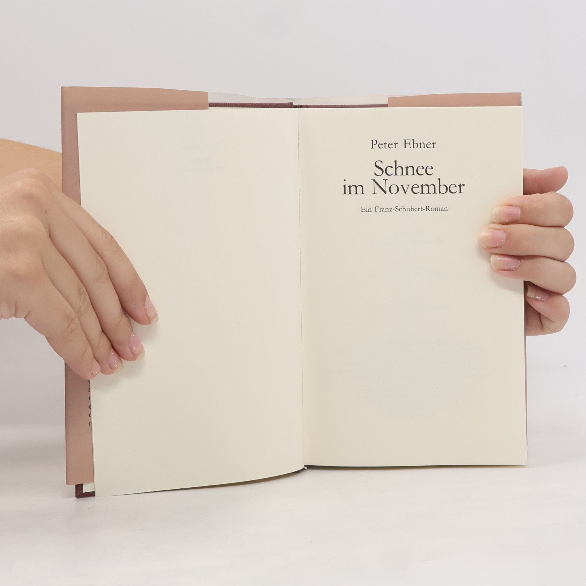 Peter Ebner Schnee im November
