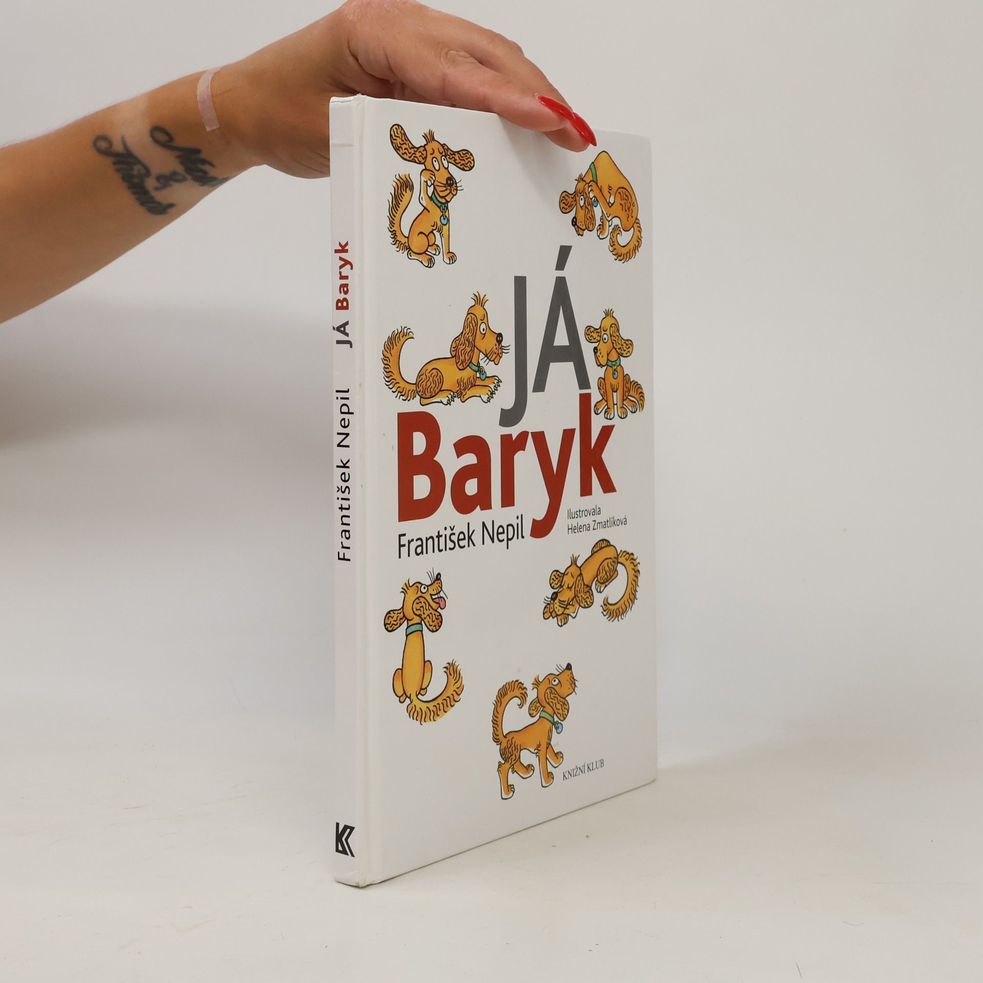 František Nepil Já, Baryk