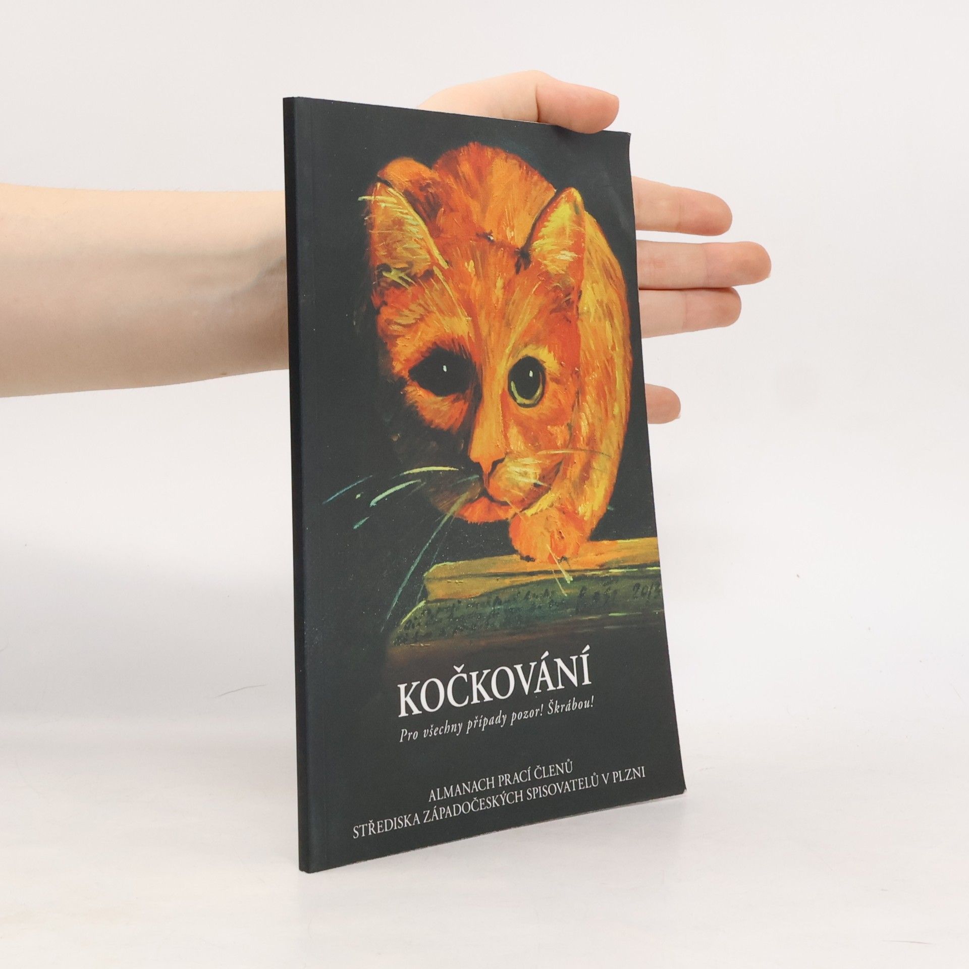 Romana Štryncl Kočkování : pro všechny případy pozor! Škrábou!