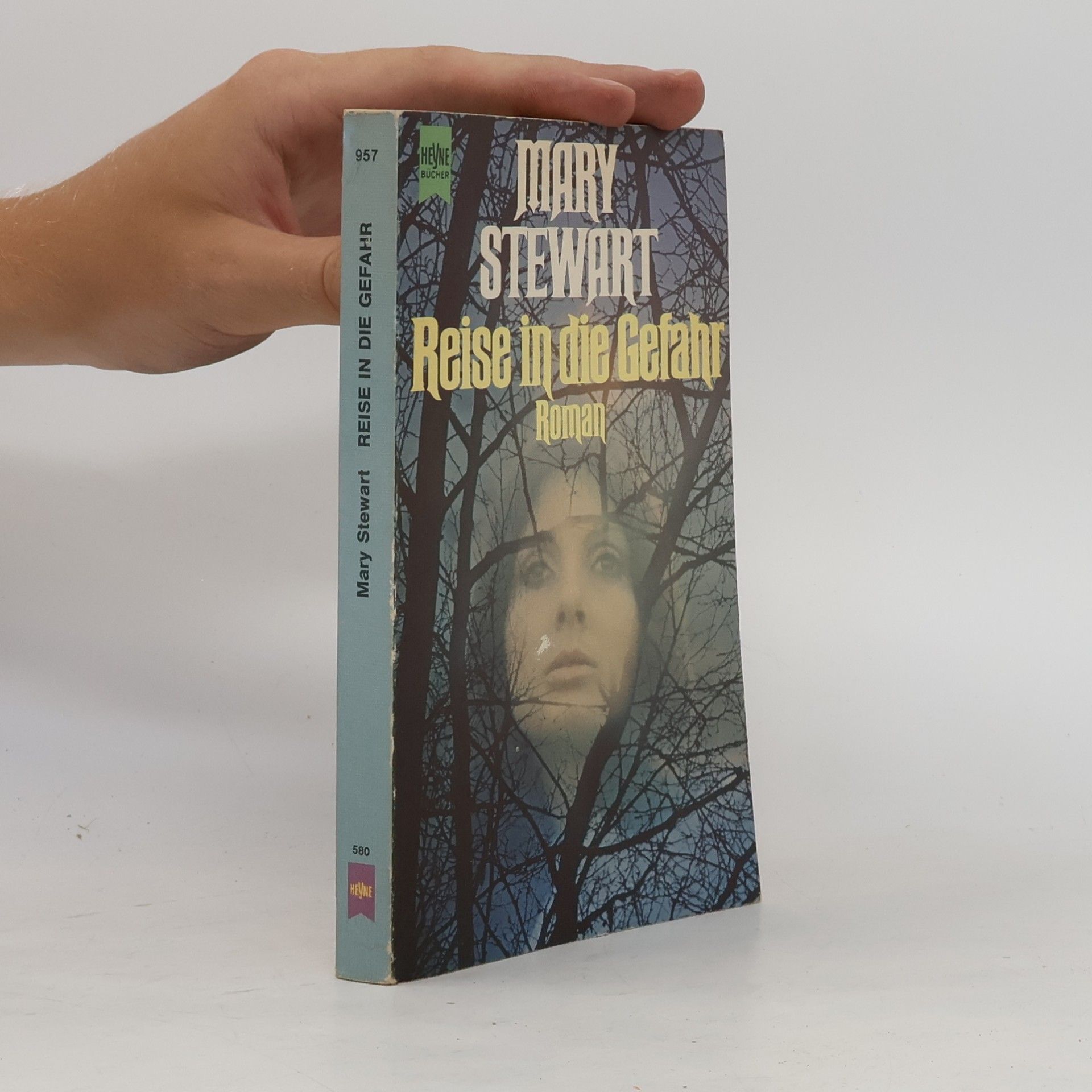 Mary Stewart-Wilson Reise in die Gefahr