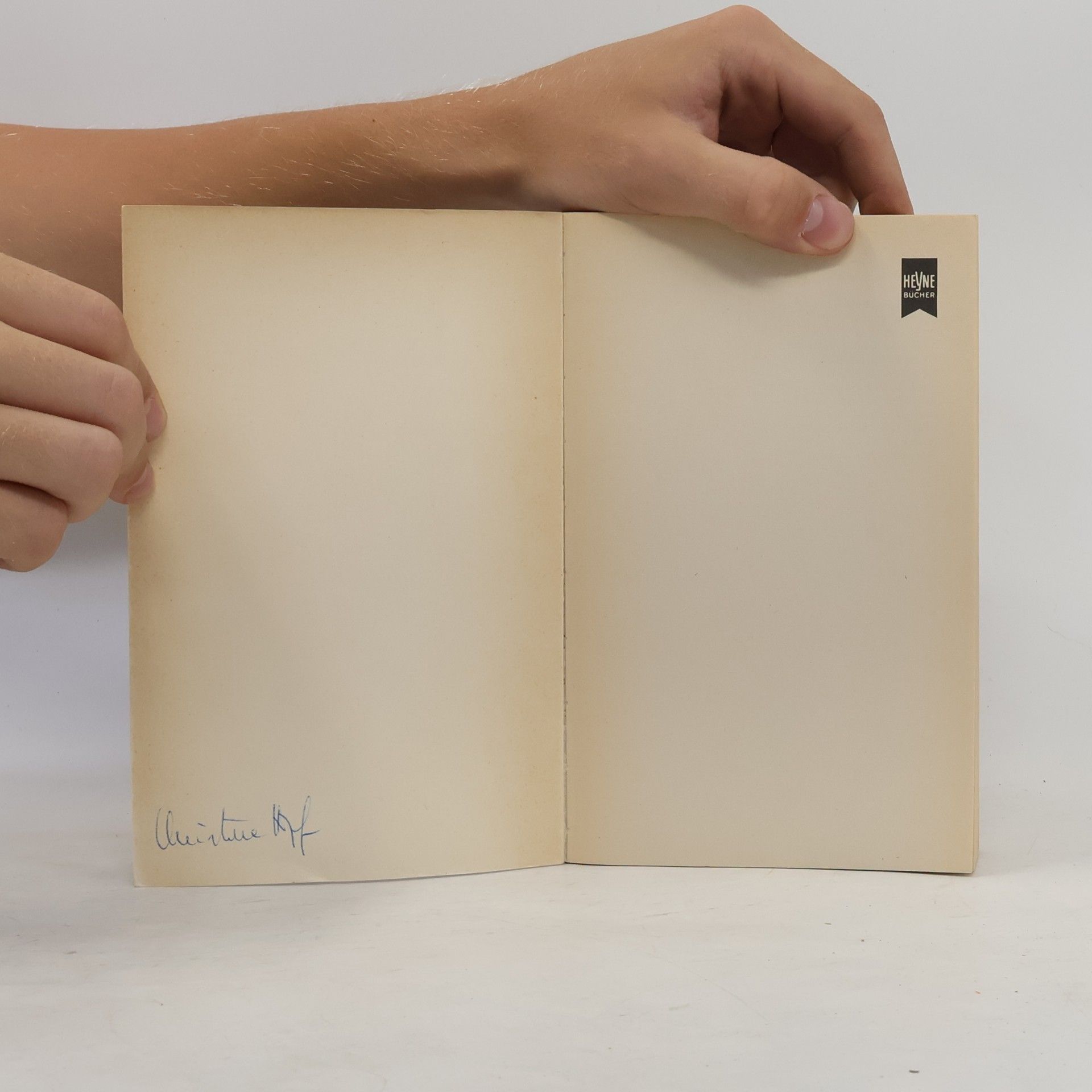 Mary Stewart-Wilson Reise in die Gefahr