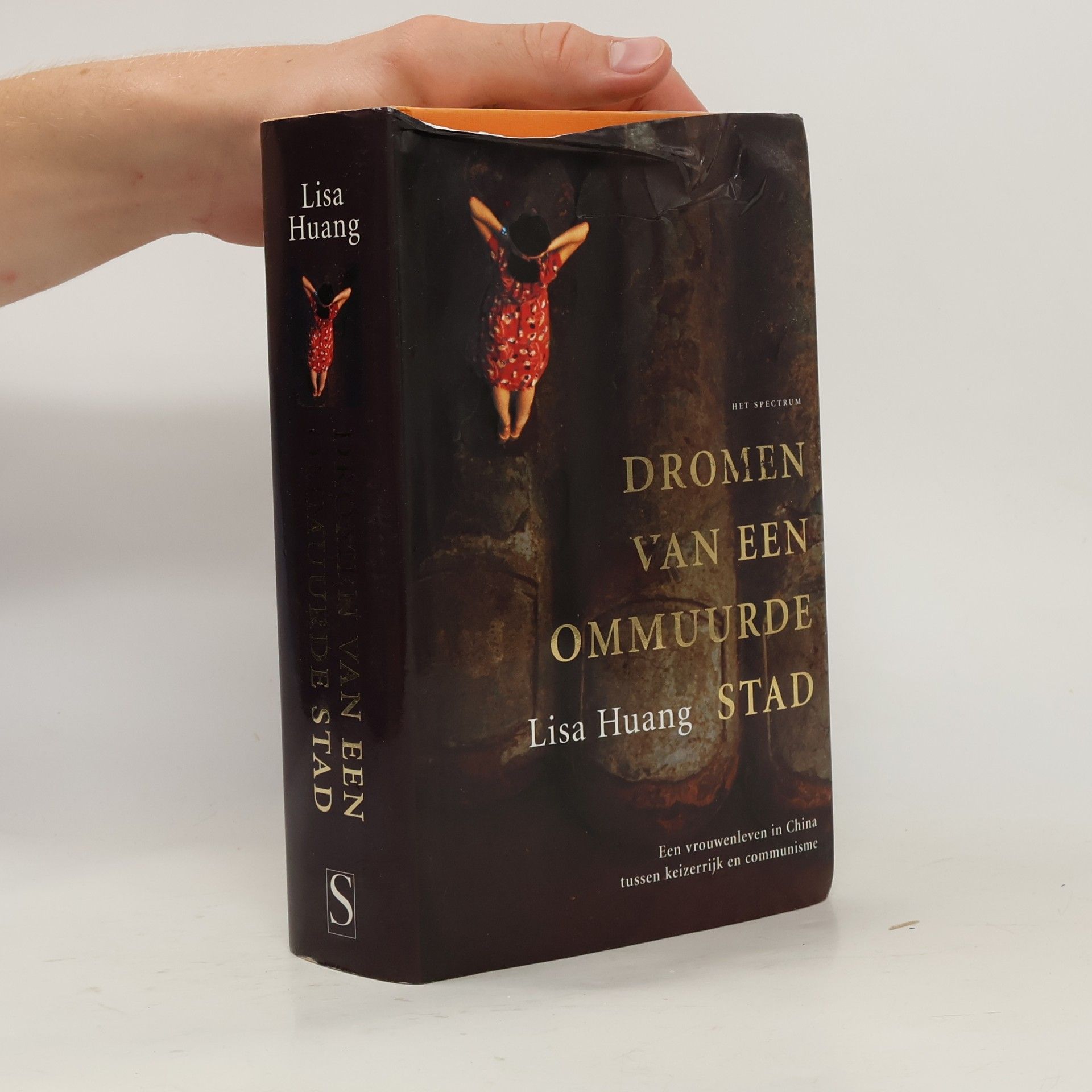 Dromen van een ommuurde stad