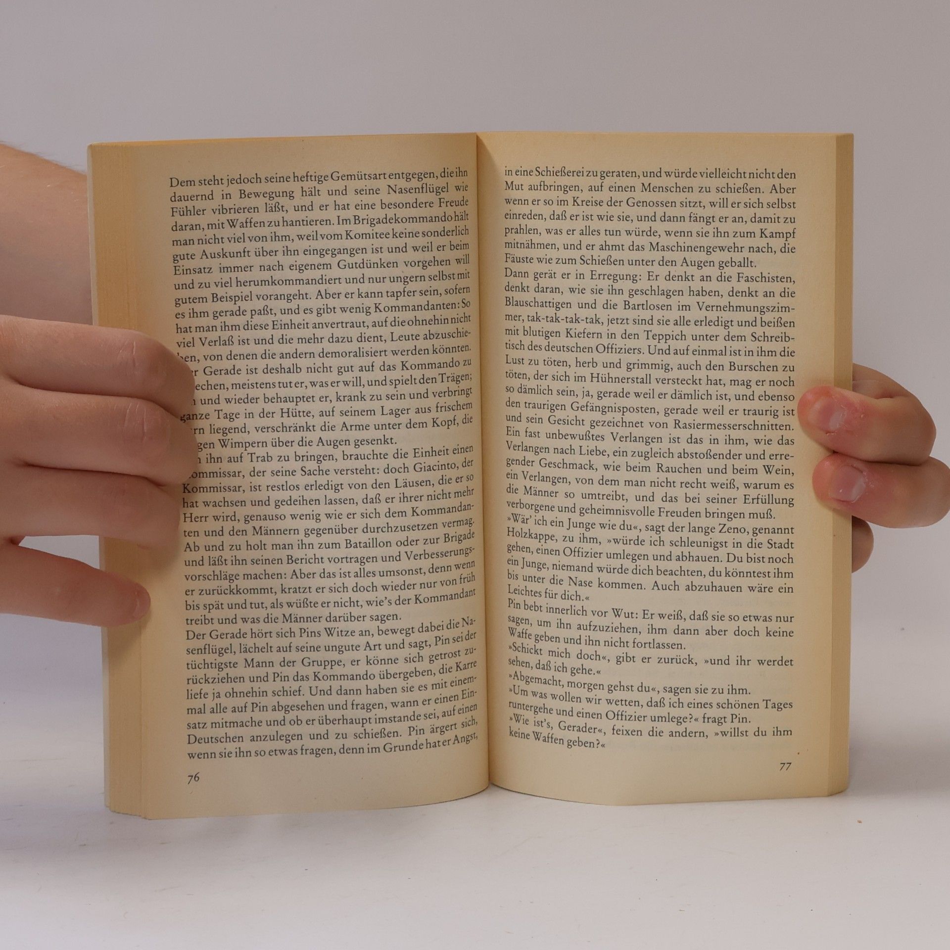 Italo Calvino Wo Spinnen ihre Nester bauen