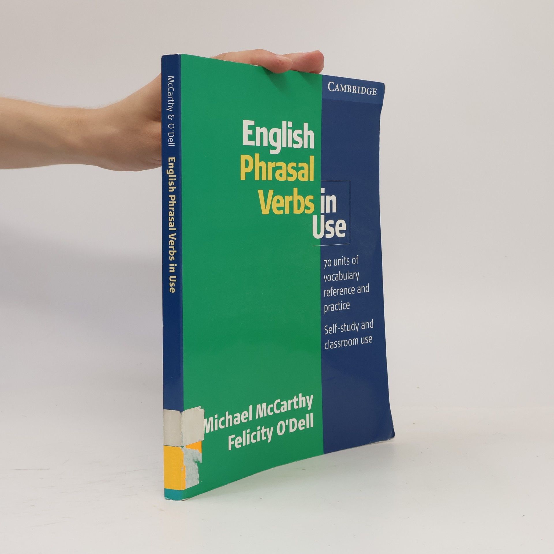 Michael McCarthy English phrasal verbs in use