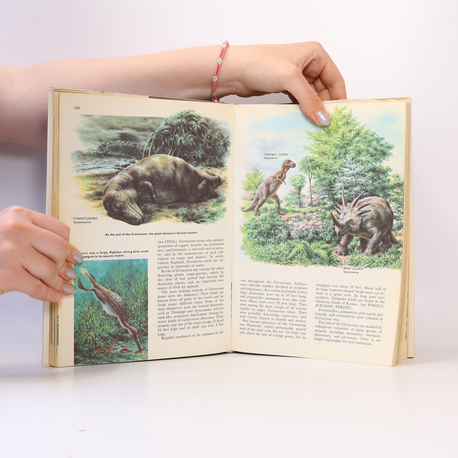Autores varios The Children's Wonderful World Encyclopedia