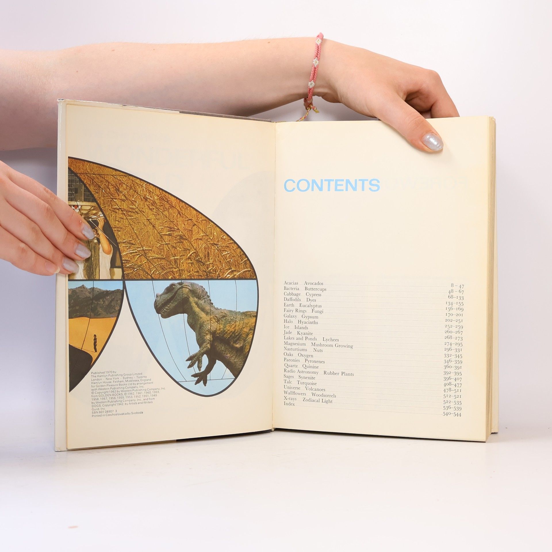 Autores varios The Children's Wonderful World Encyclopedia
