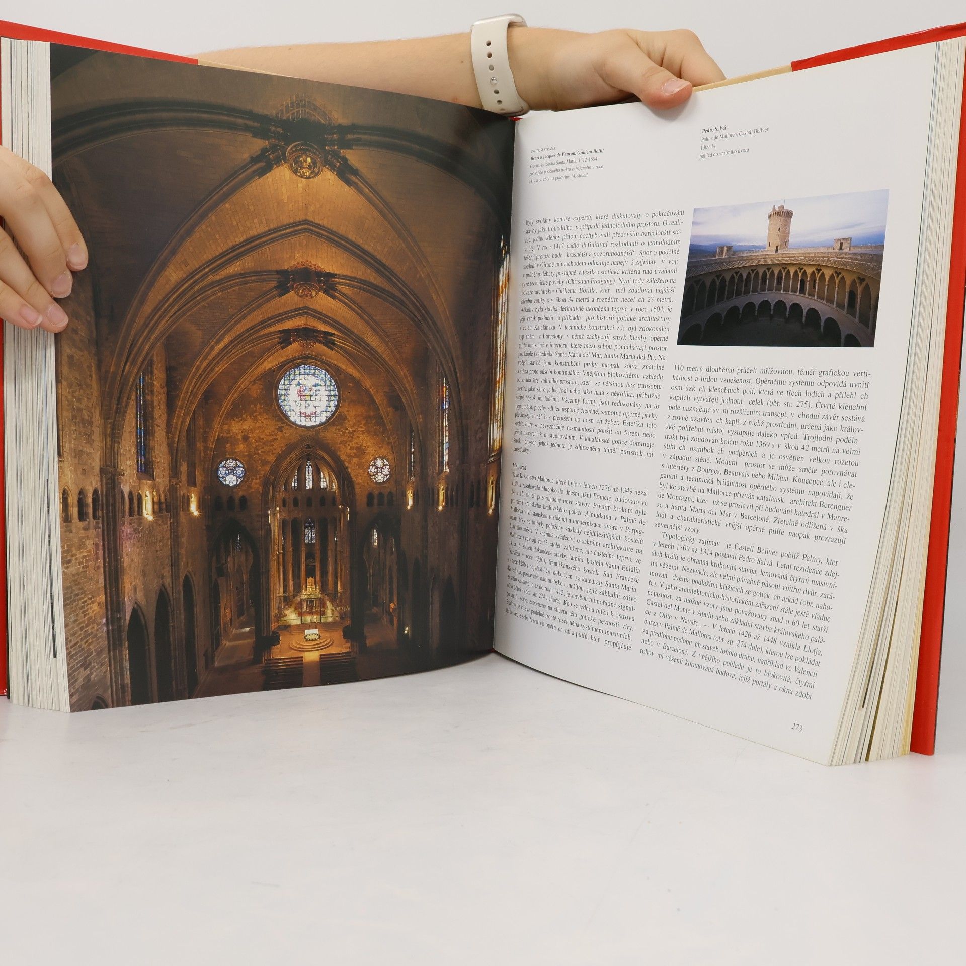 Achim Bednorz Gotika. Architektura, sochařství, malířství