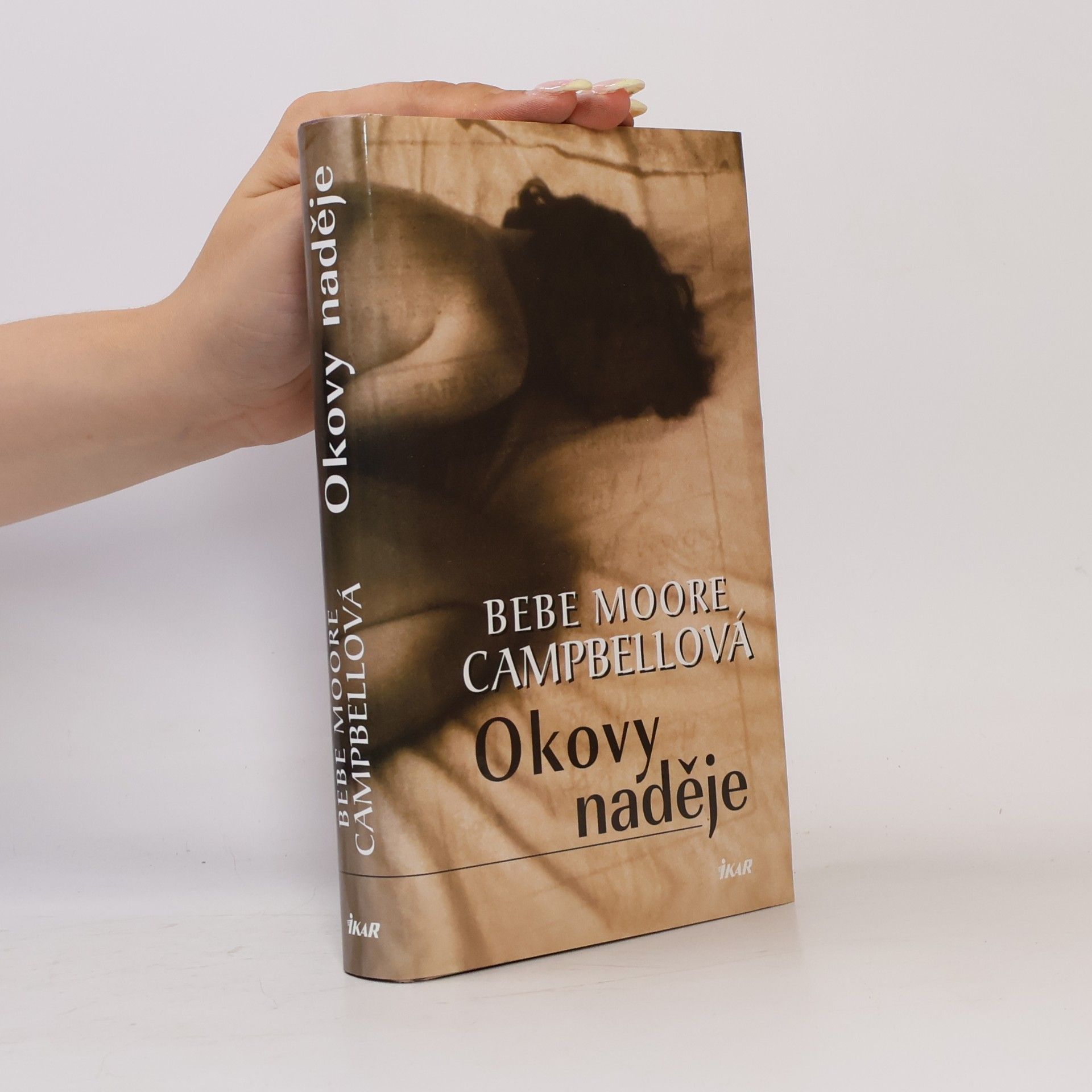 Bebe Moore Campbell Okovy naděje