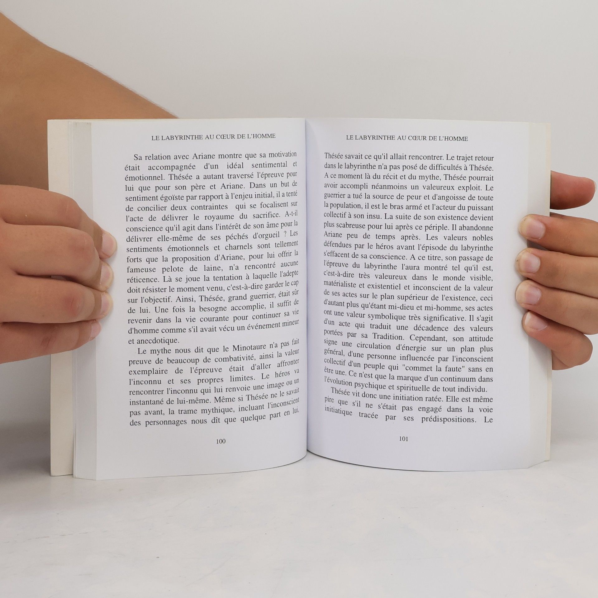 Dominique Aucher Le labyrinthe au coeur de l'homme et inversement