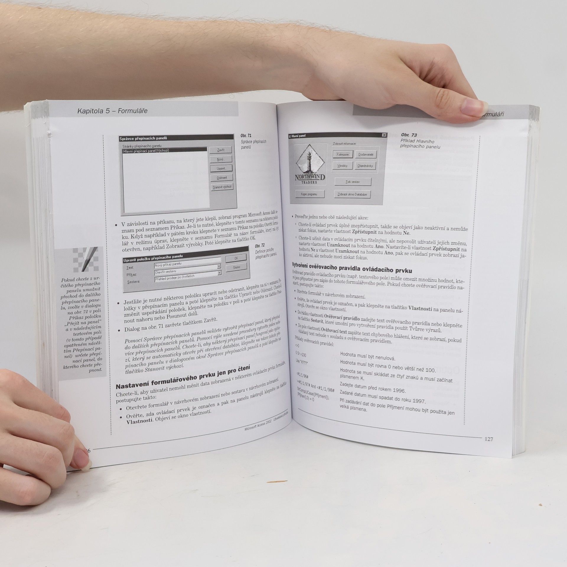David Morkes Microsoft Access 2002 : uživatelská příručka