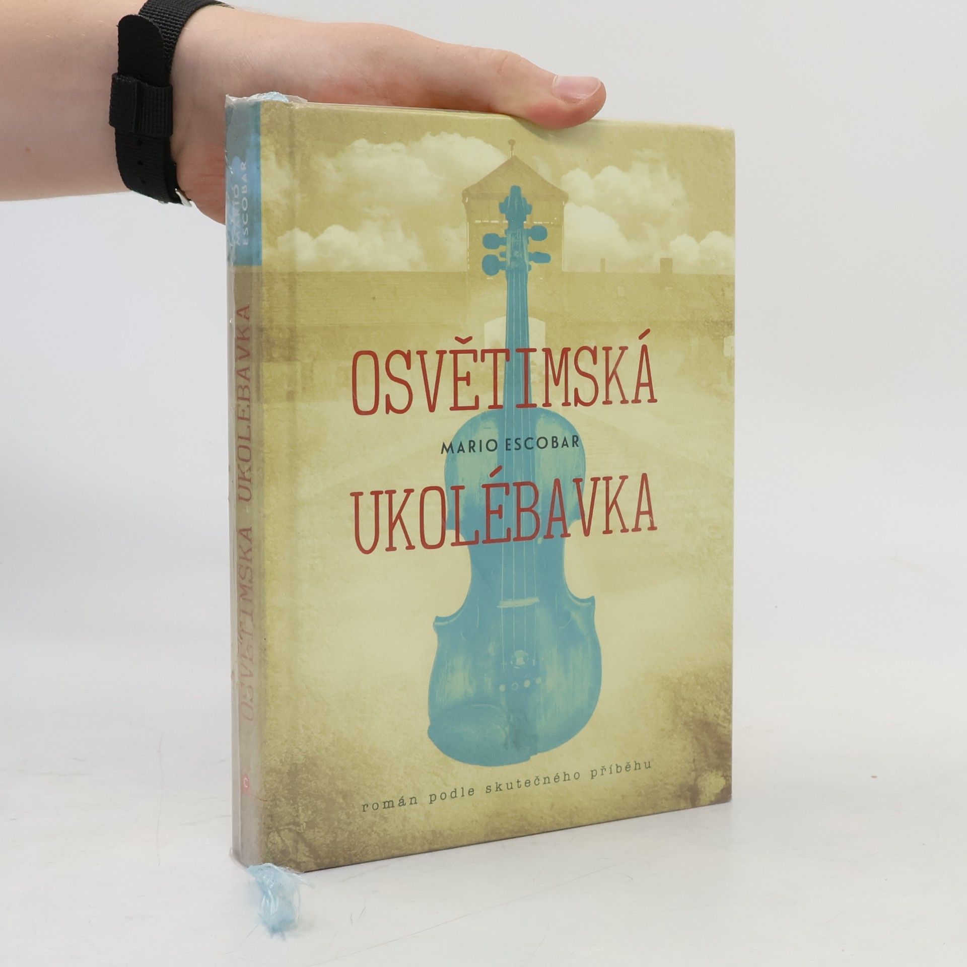 Mario Escobar Osvětimská ukolébavka