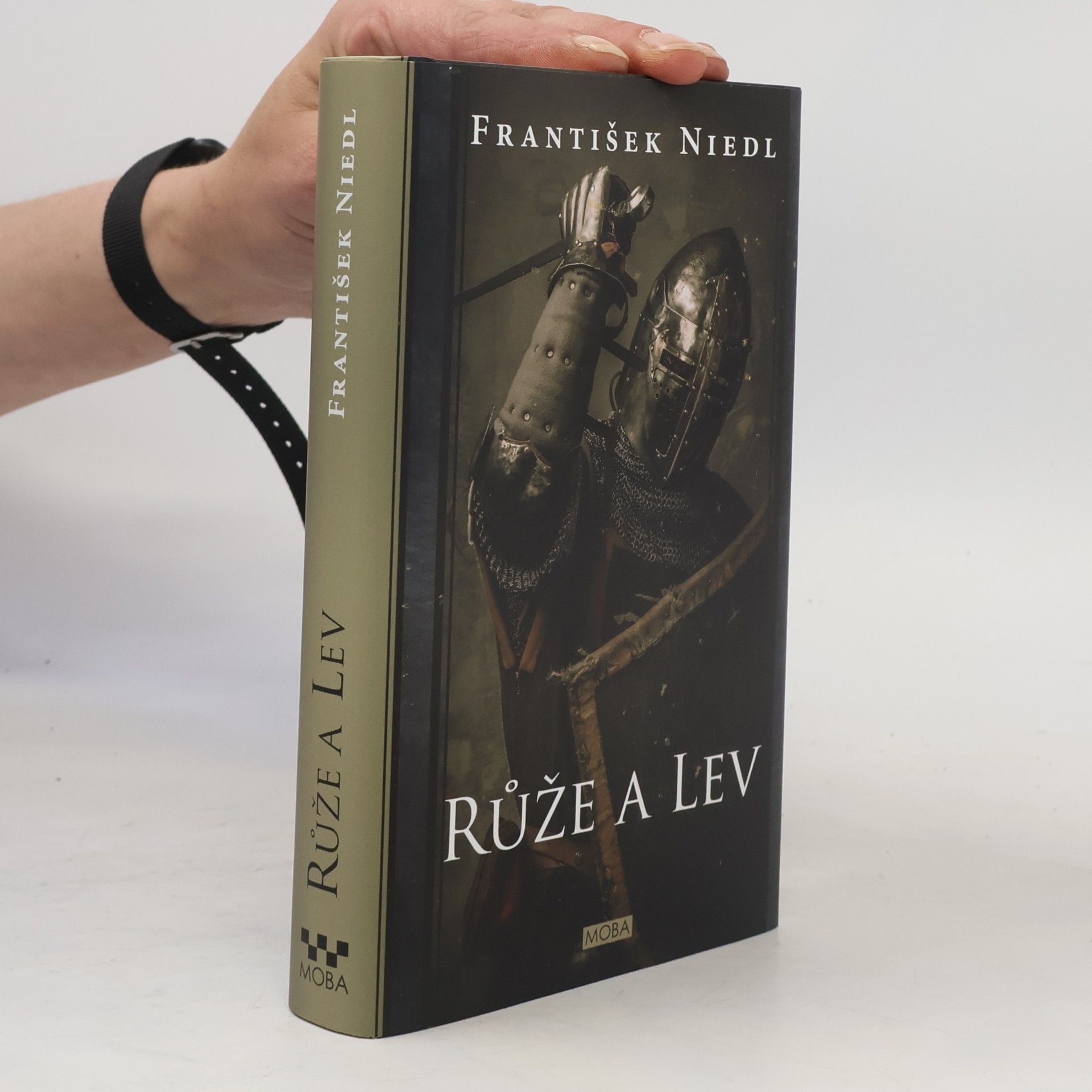 František Niedl Růže a lev