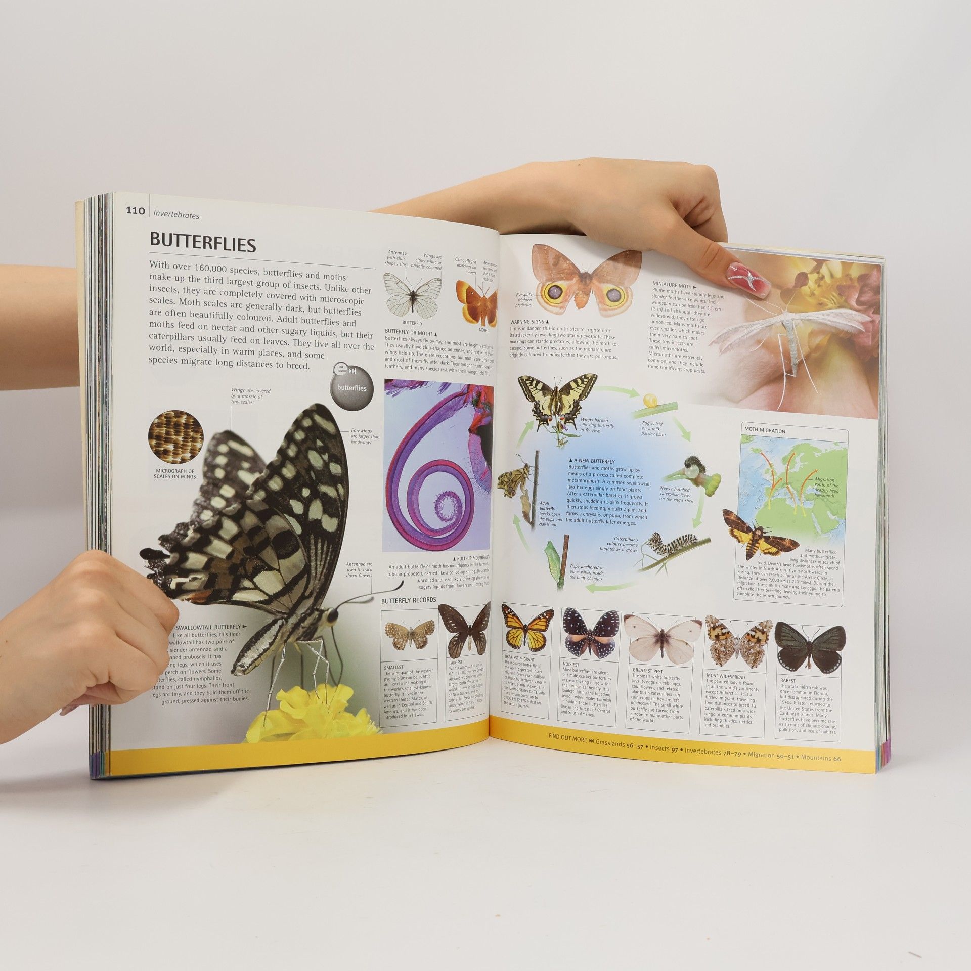 Sarah Larter Animal Encyclopedia