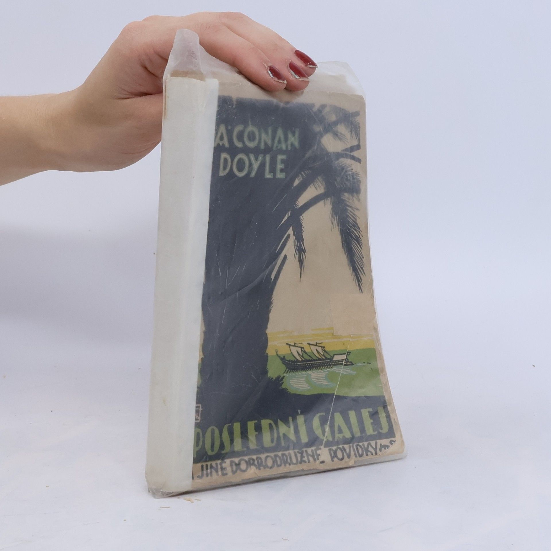 Arthur Conan Doyle Poslední galej
