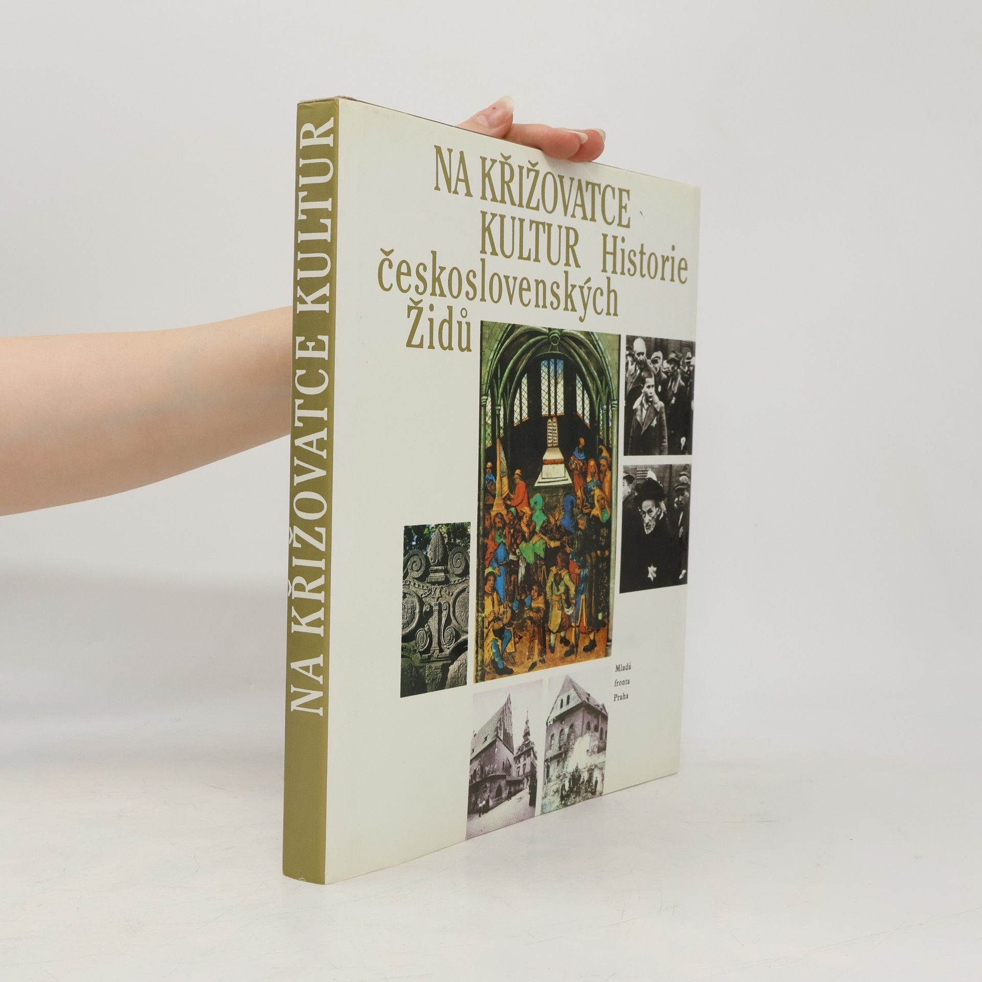 Collectif d'auteurs Na křižovatce kultur: Historie československých Židů